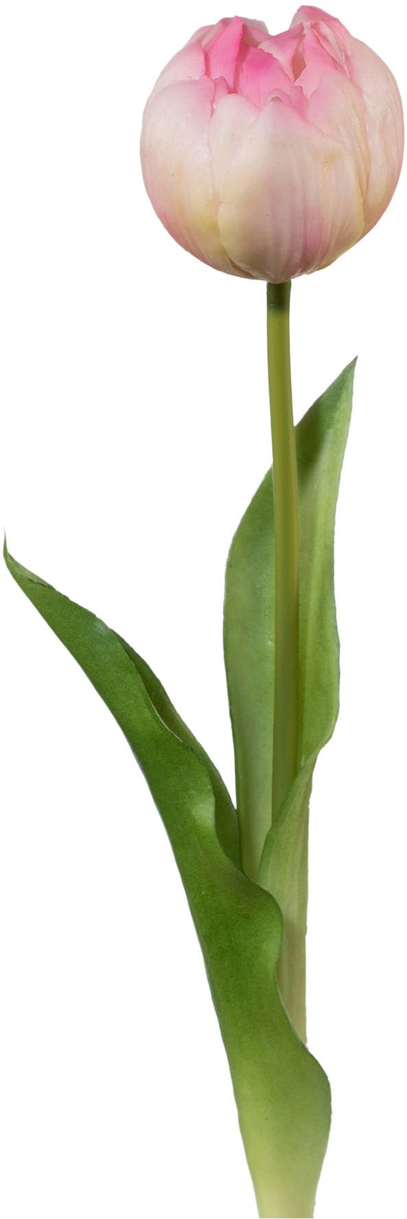 Creativ green Kunsttulpe "Tulpe", mit real-touch-Blüten günstig online kaufen