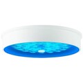 Brilliant Leuchten Deckenleuchte »Medusa«, LED-Modul, 1 St., Farbwechsler, LED Wand- und Deckenlampe 51cm weiß