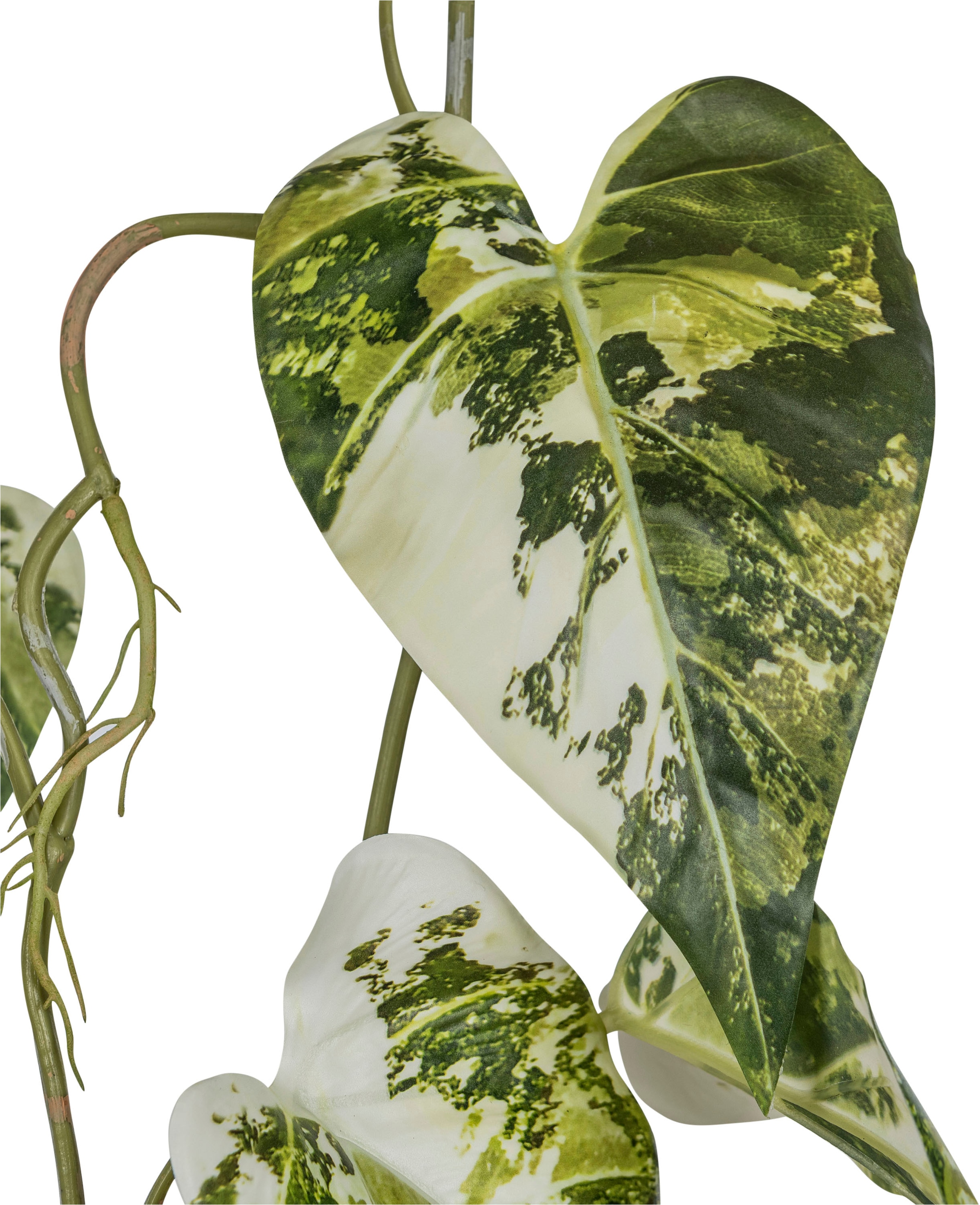 Creativ green Kunstranke »Scindapsusranke«, mit üppigem Blattwerk