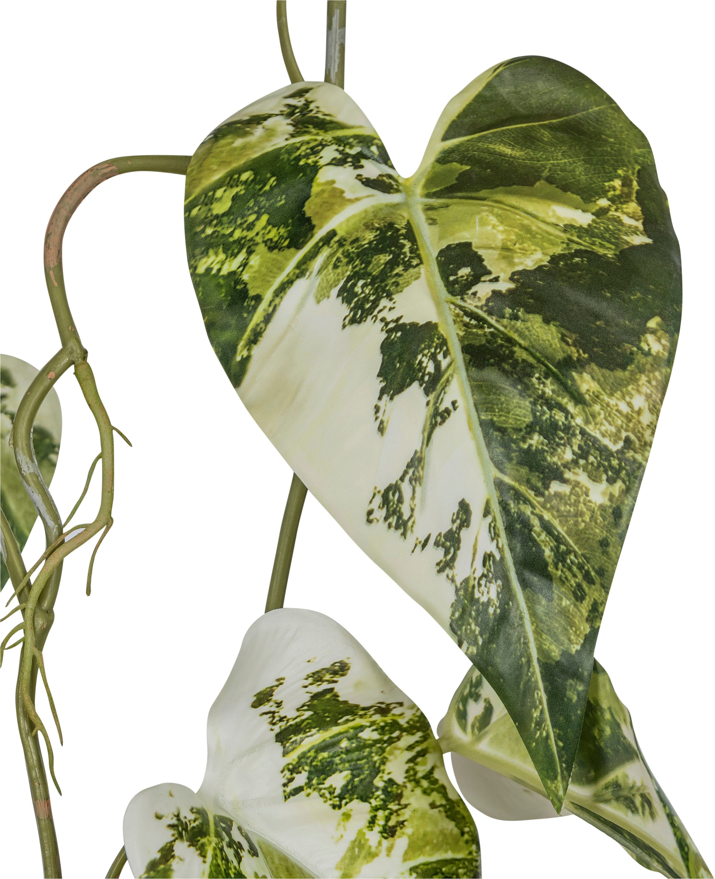 Creativ green Kunstranke "Scindapsusranke", mit üppigem Blattwerk günstig online kaufen