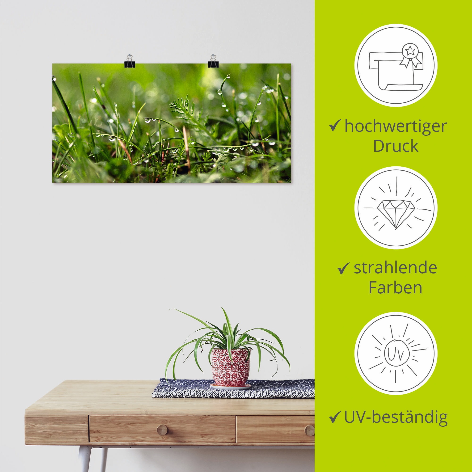 Artland Wandbild »Tautropfen«, Gräser, (1 St.), als Alubild, Outdoorbild, Leinwandbild, Poster in verschied. Größen