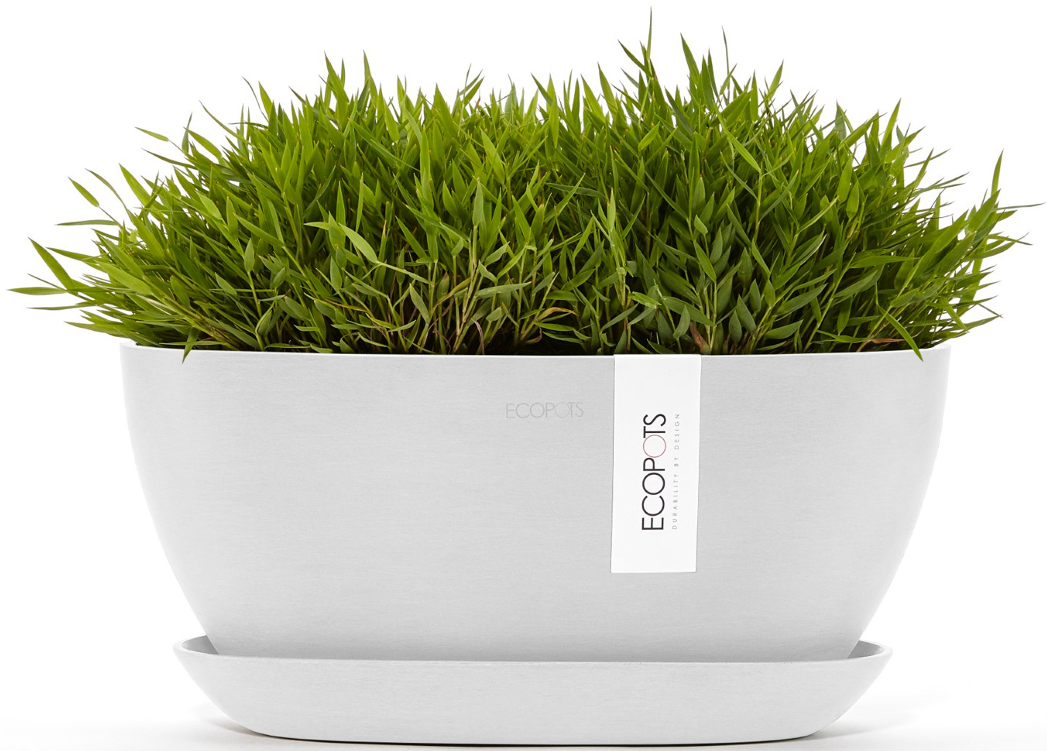 ECOPOTS Blumentopf »Sofia 30 Weiß«, für innen und außen: frostsicher, bruchsicher und lichtbeständig