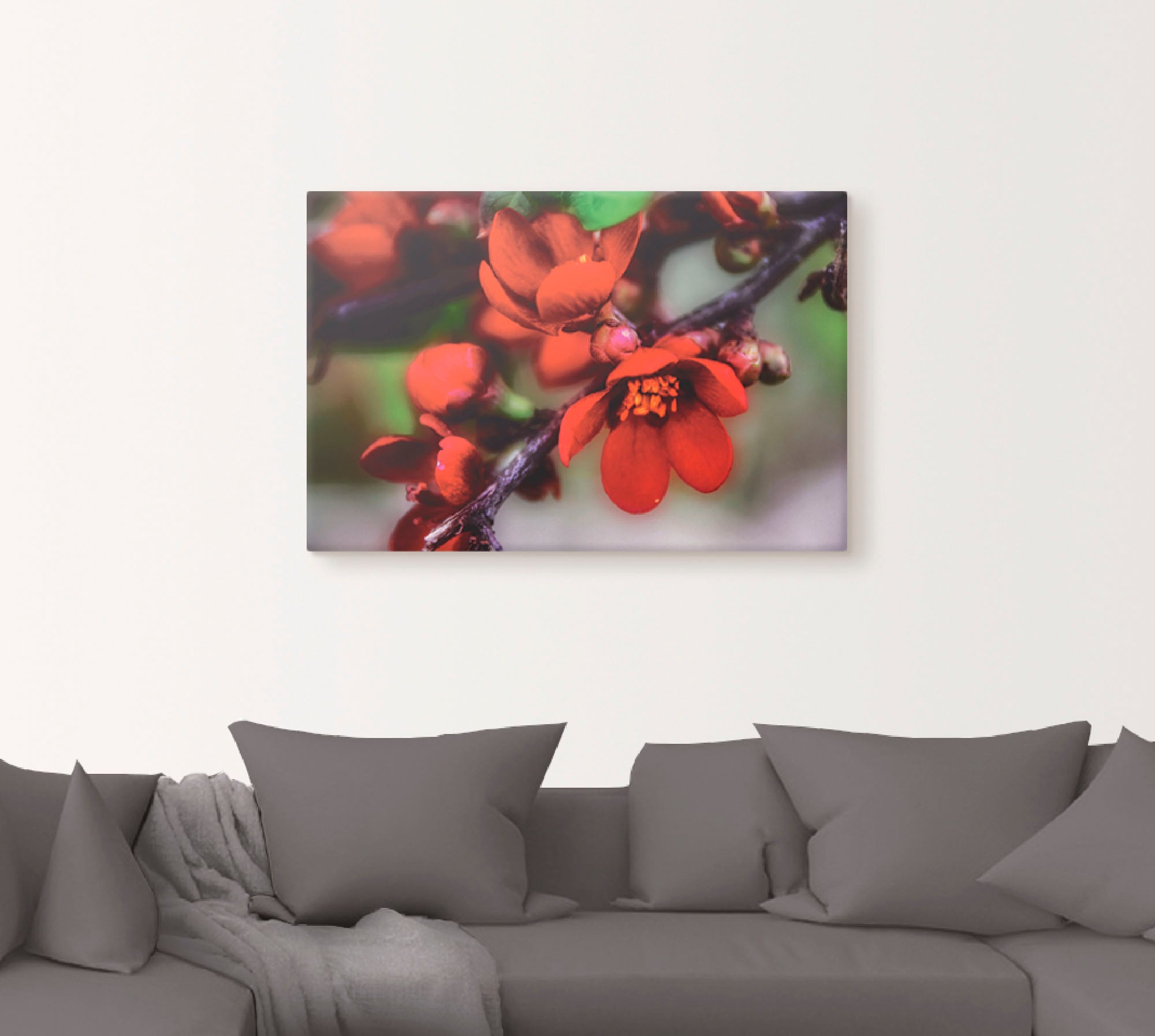 Artland Wandbild »Quittenblüte II«, Blumen, (1 St.), als Alubild, Outdoorbild, Leinwandbild in verschied. Größen