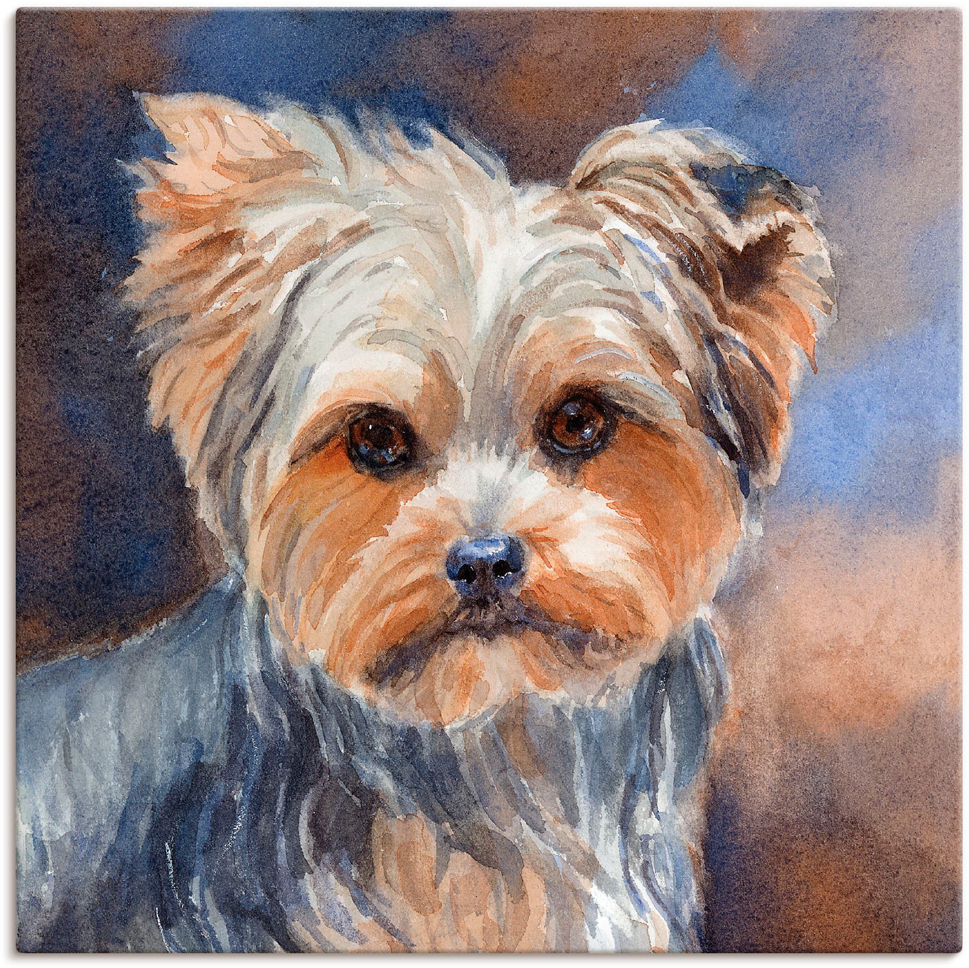 Artland Wandbild »Sadie Belle Yorkshire Terrier«, Haustiere, (1 St.), als Leinwandbild, Poster, Wandaufkleber in verschied. Größen