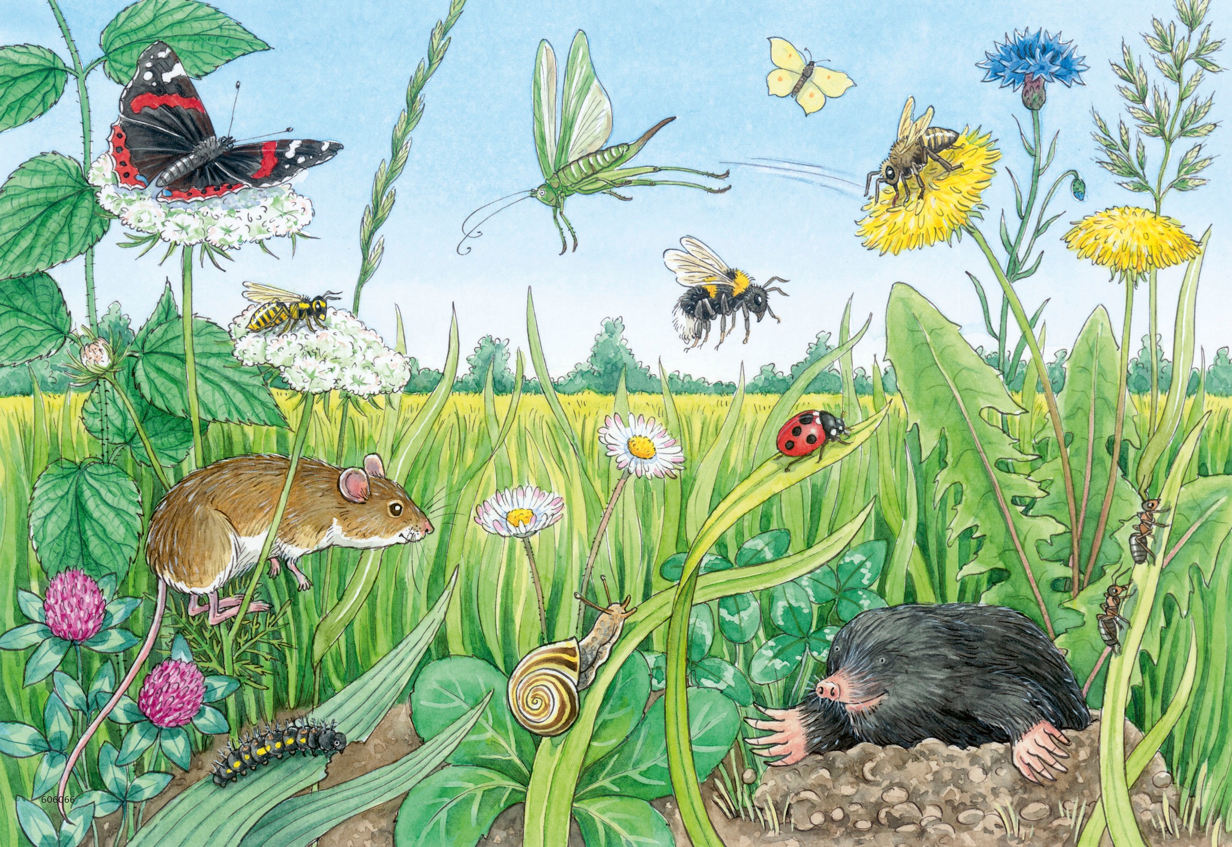 Ravensburger Puzzle »Wieso? Weshalb? Warum? Junior, Tiere im Wald und auf der Wiese«, 2x12 Teile; Made in Europe