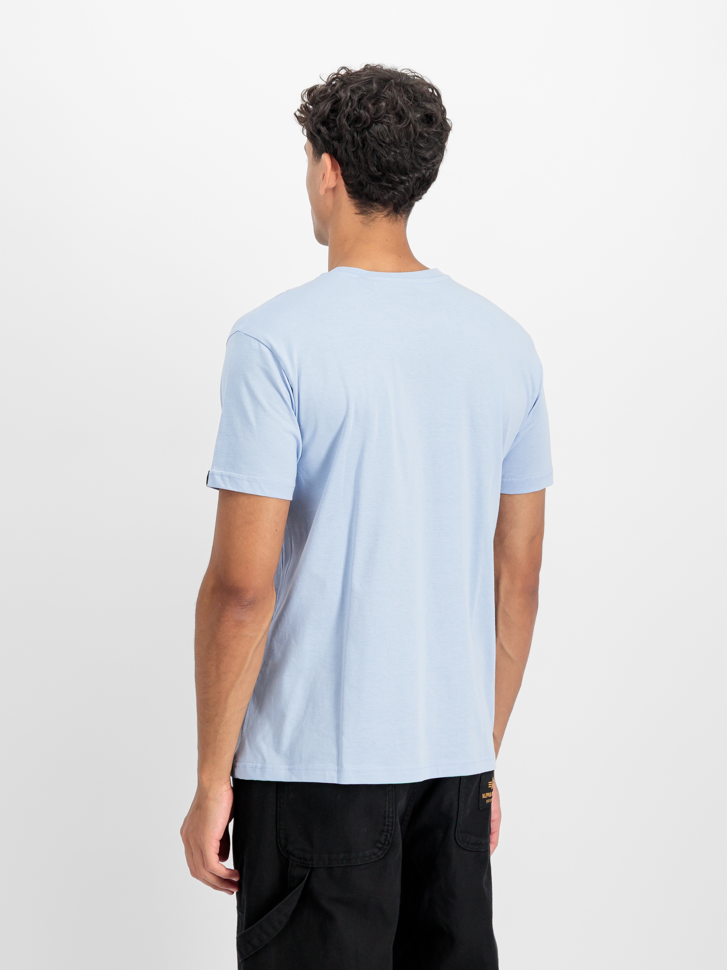 Alpha Industries Rundhalsshirt »BASIC T SMALL LOGO« Baumwolle, regular fit