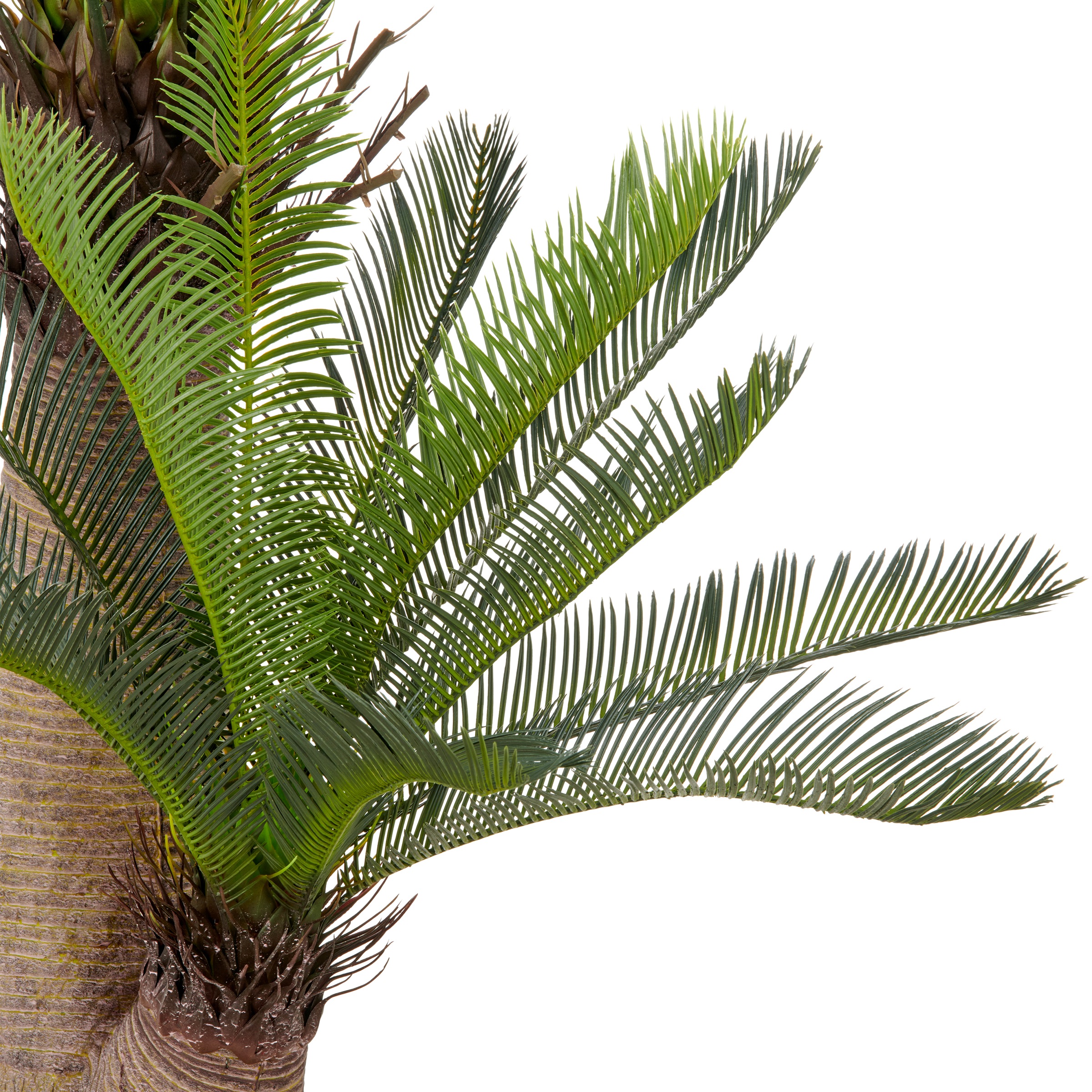 Creativ green Kunstpalme »Cycaspalme«, mit detailgetreuer Gestaltung