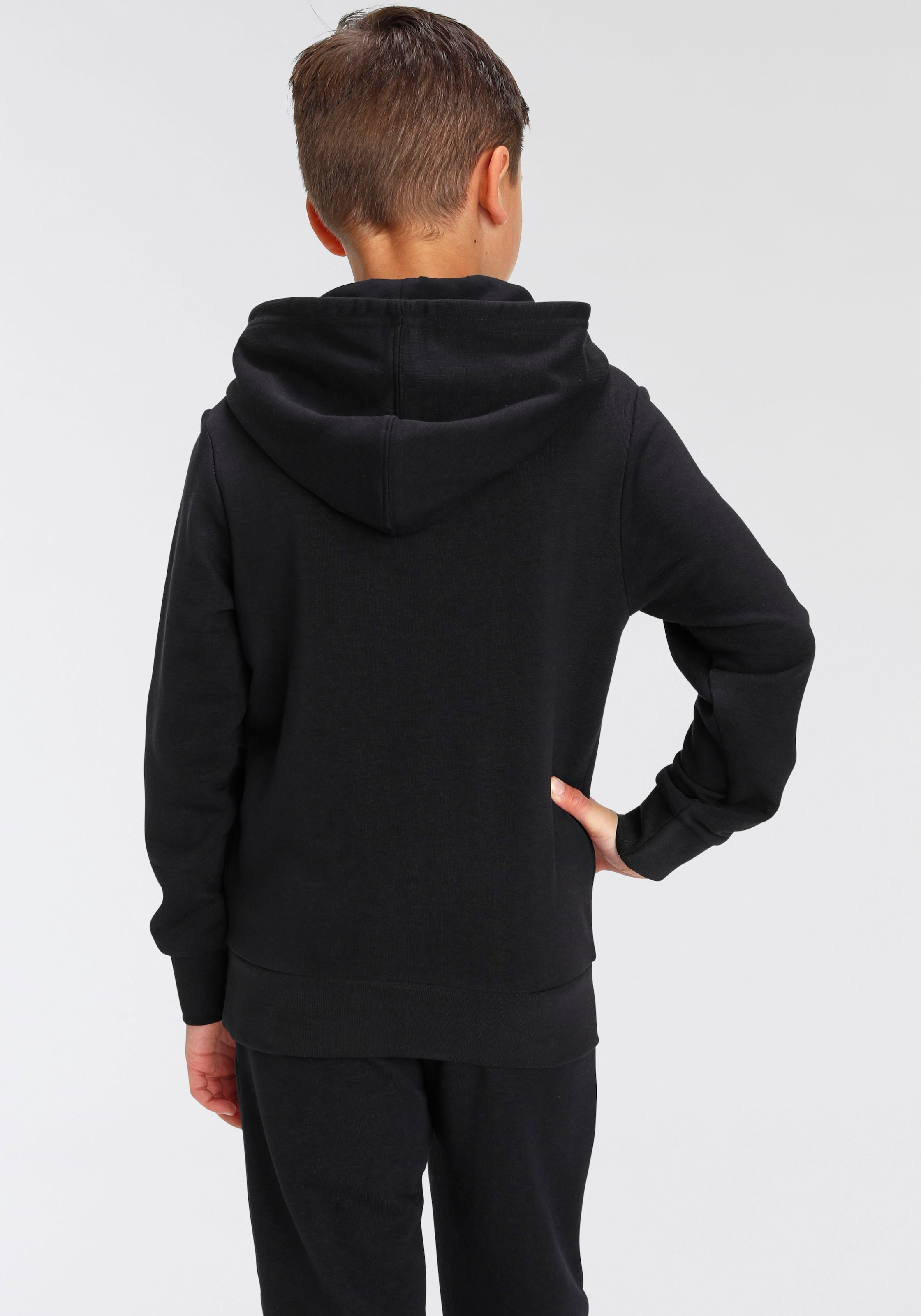 Champion Kapuzensweatshirt | kaufen BAUR