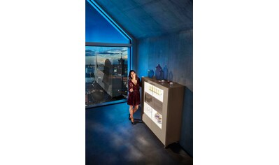 LEONARDO Highboard »AUREA«, mit Pailletten-Akzent, wahlweise mit Beleuchtung kaufen