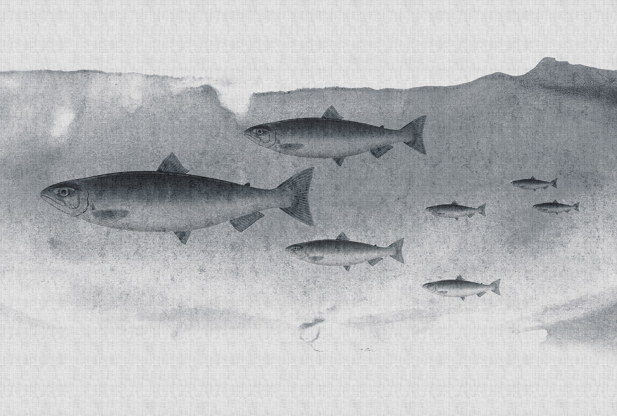 living walls Fototapetas »Walls by Patel Into The B...