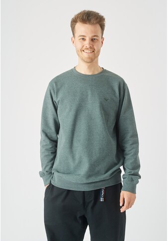 Cleptomanicx Sweatshirt »Ligull«, mit kleiner Möwen-Stickerei kaufen