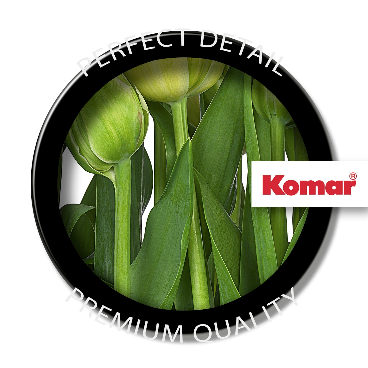 Komar Fototapete »Papier Fototapete - Tulips - Größe 368 x 254 cm« Motiv | bedruckt glatt
