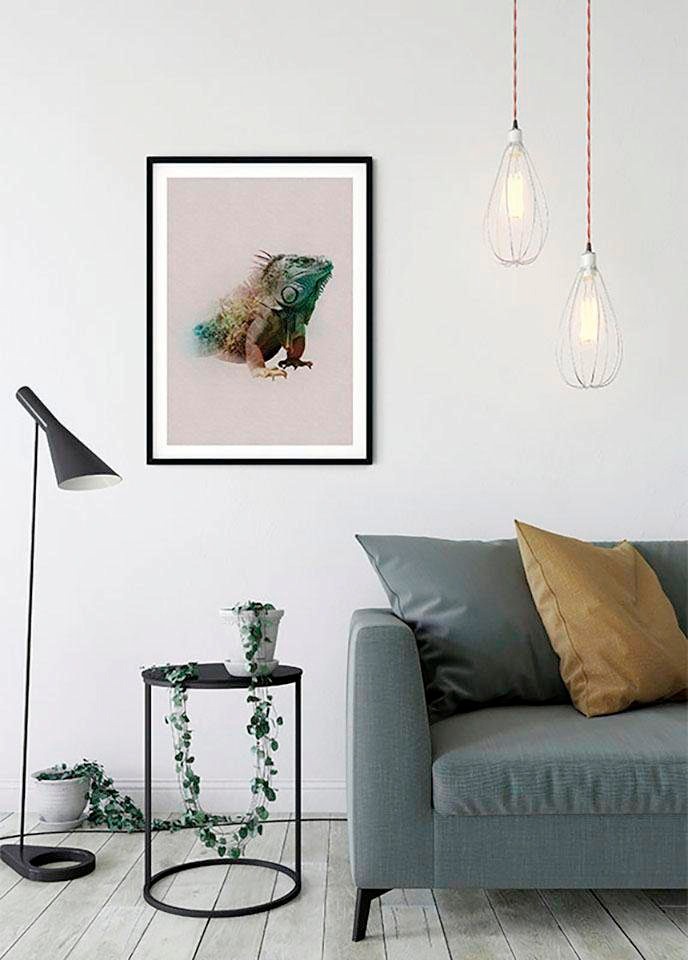 Komar Bild »Animals Paradise Iguana«, Tiere, (1 St.), Wandbild zur Dekoration - ohne Rahmen