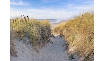 Papermoon Fototapete »Dunes in Bretagne« kaufen