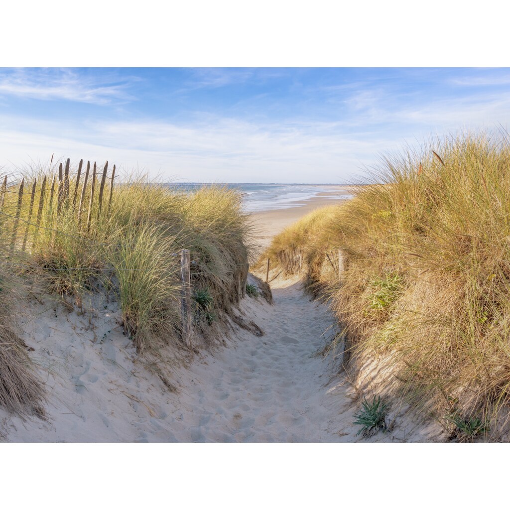 Papermoon Fototapete »Dunes in Bretagne«
