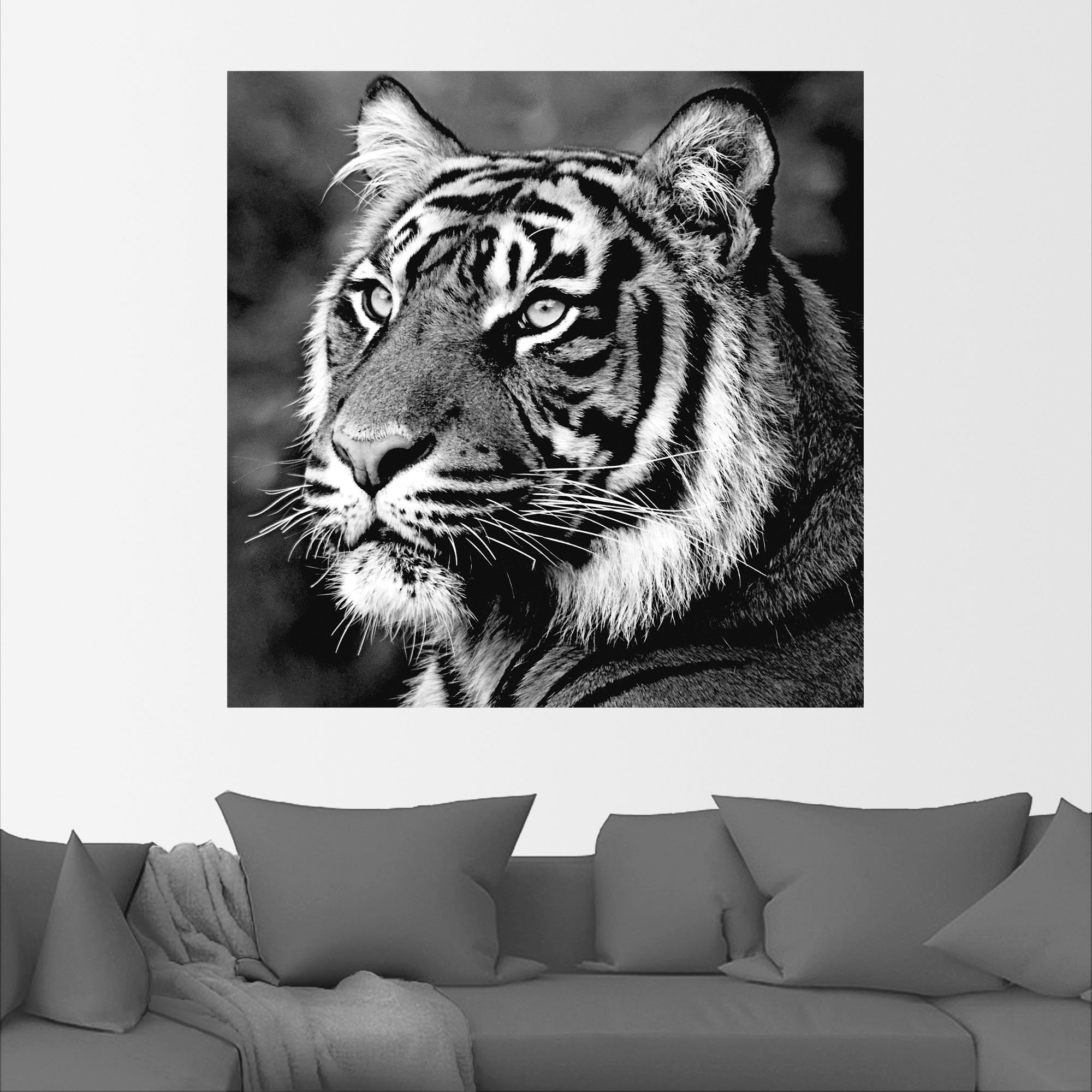 Artland Wandbild »Tiger«, Wildtiere, (1 St.), als Leinwandbild, Poster, Wandaufkleber in verschied. Größen