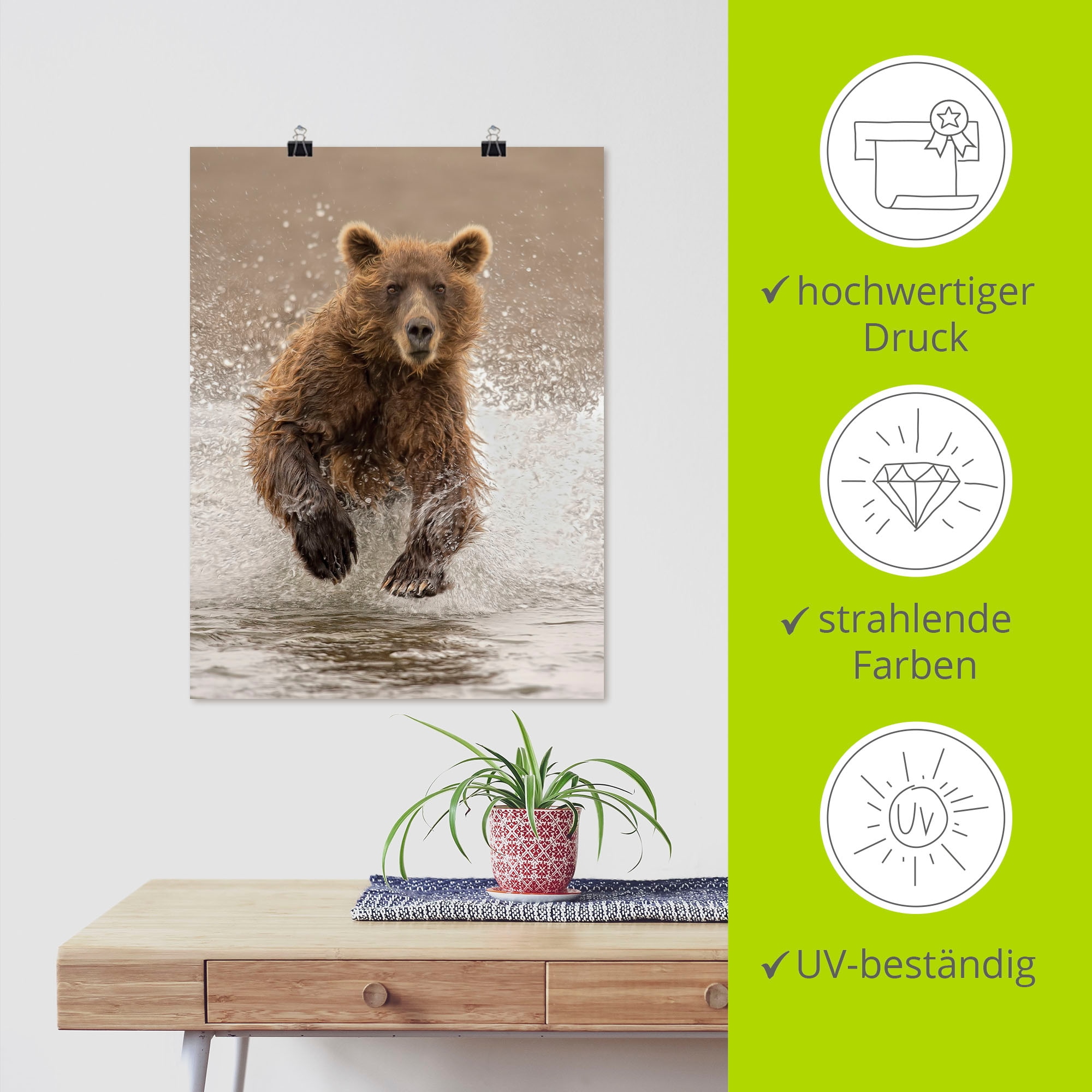 Artland Poster »Bären beim Spielen II«, Wildtiere, (1 St.), als Alubild, Leinwandbild, Wandaufkleber oder Poster in versch. Größen