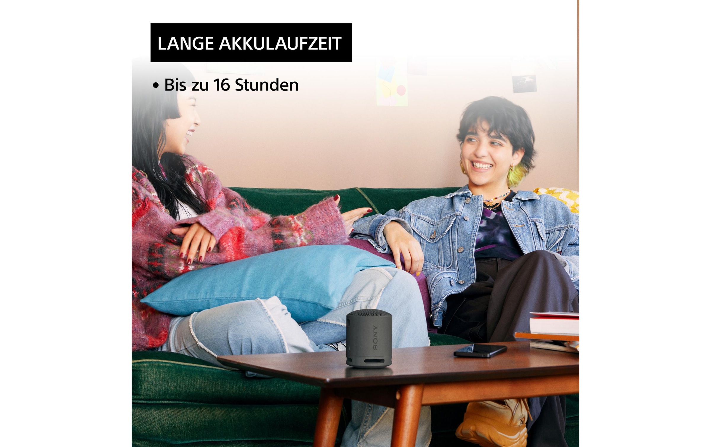 Sony Bluetooth-Speaker (Bluetooth )