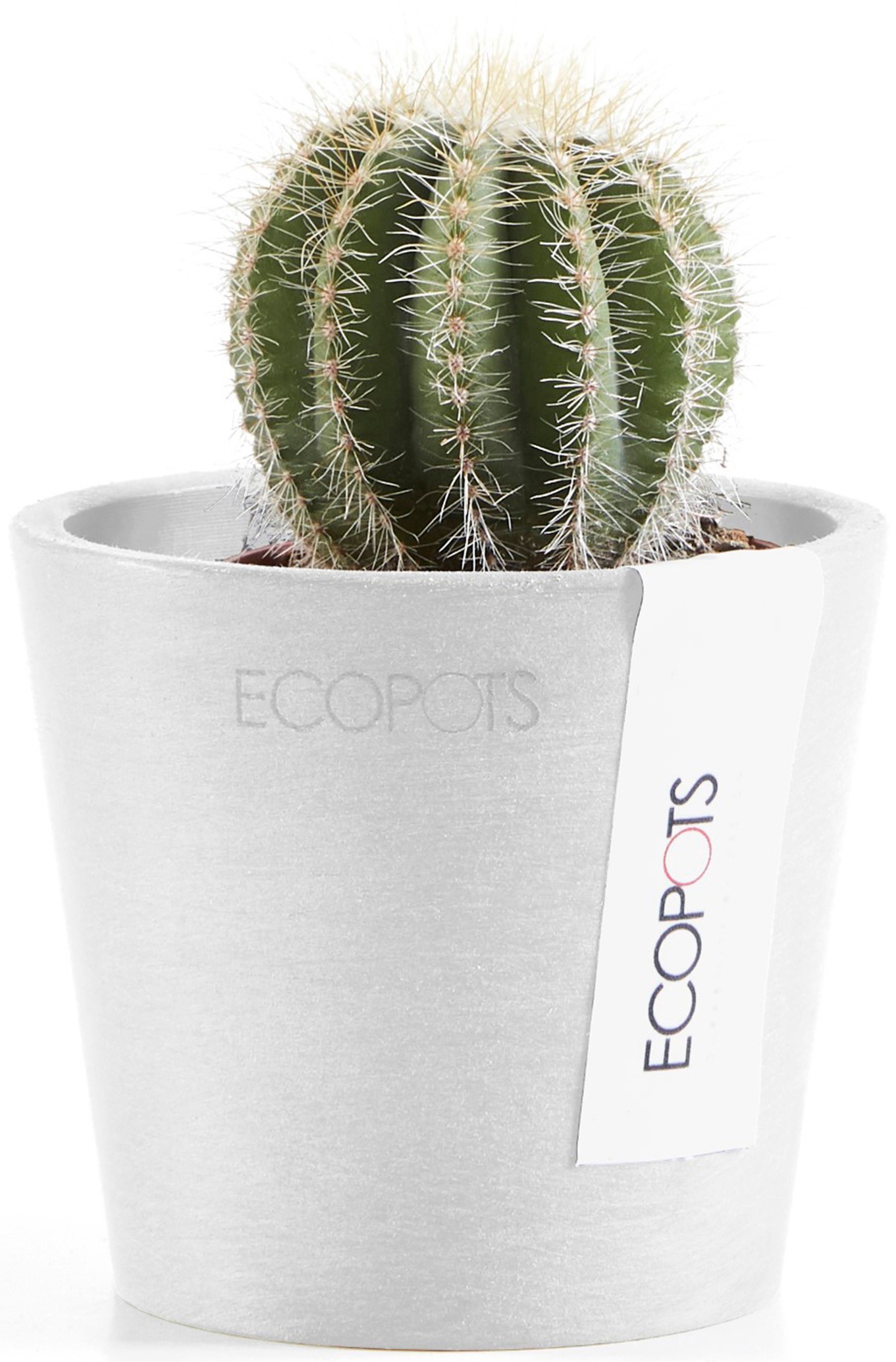 ECOPOTS Blumentopf »Amsterdam Mini 8 Weiß«, für den Innenbereich