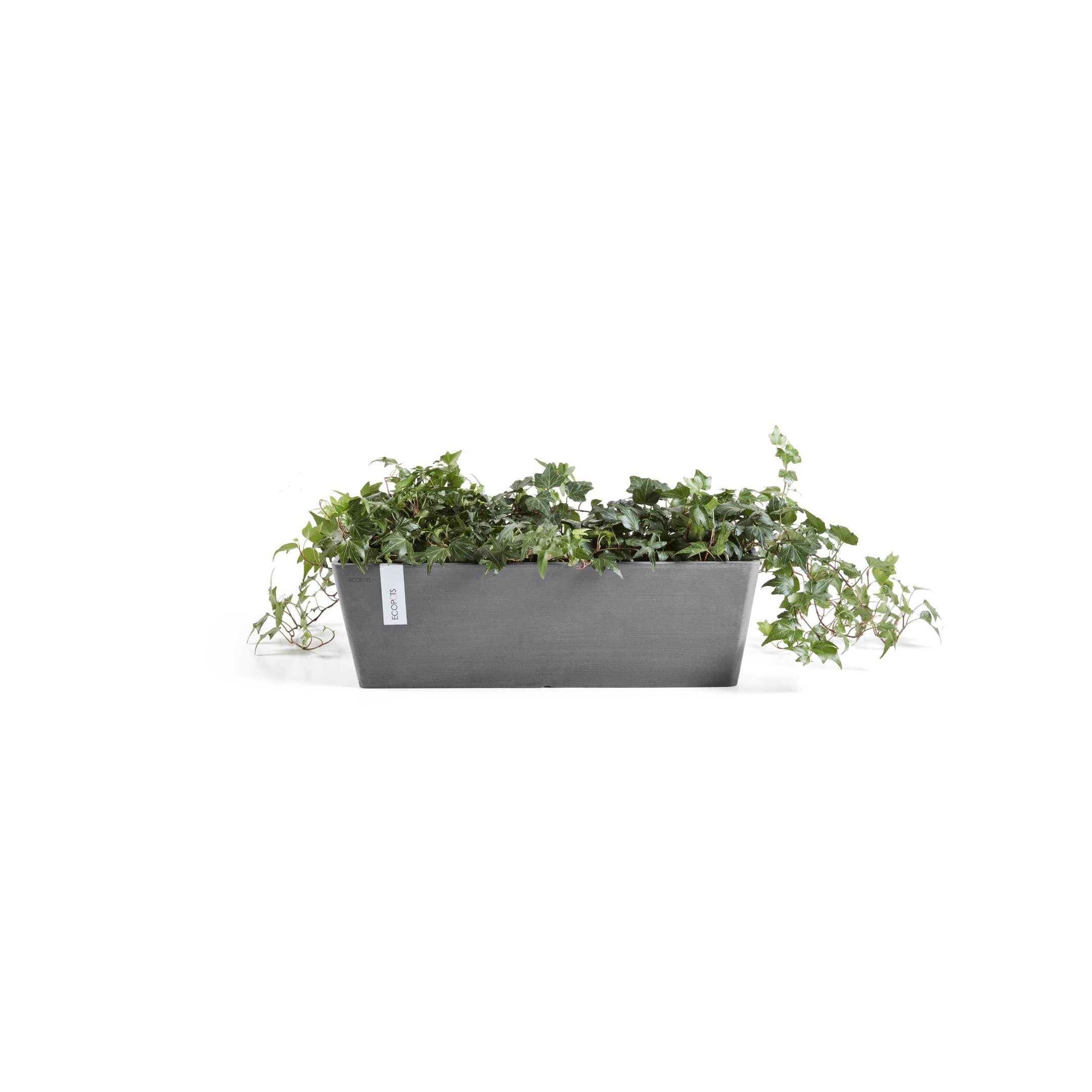 ECOPOTS Blumentopf »Bruges«, mit Wasserbehälter, BxTxH: 17x55x17 cm