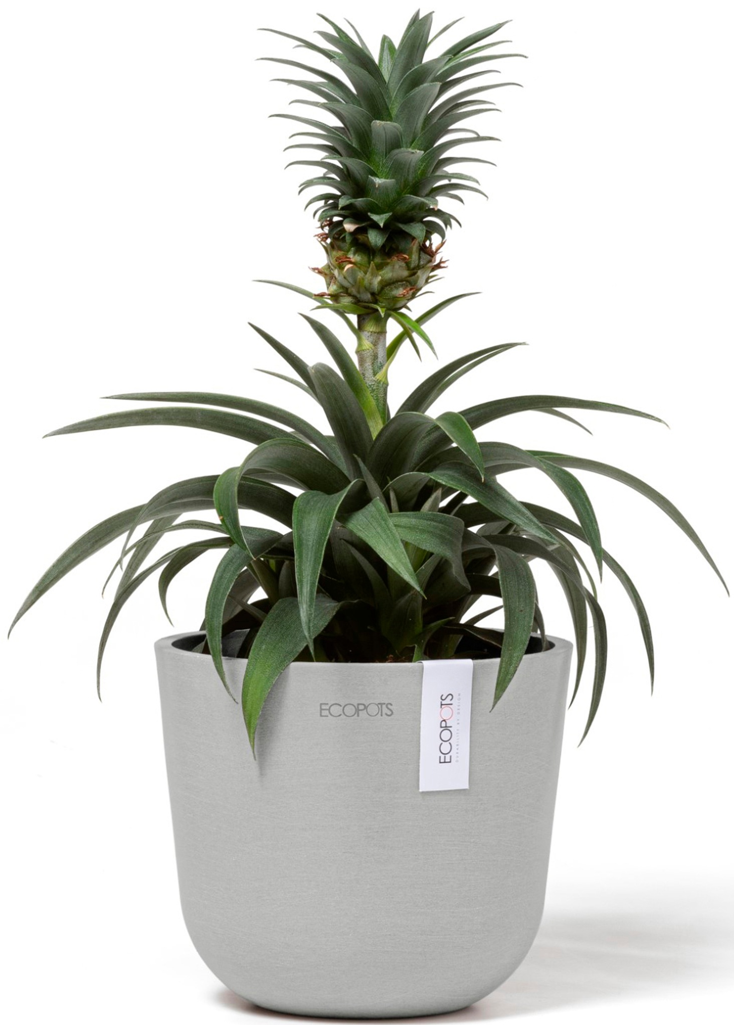 ECOPOTS Blumentopf »Oslo Mini 16 Weißgrau«, für den Innenbereich
