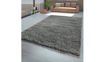 my home Hochflor-Teppich »Tripova«, rechteckig, 45 mm Höhe, Uni Farben, weicher... kaufen