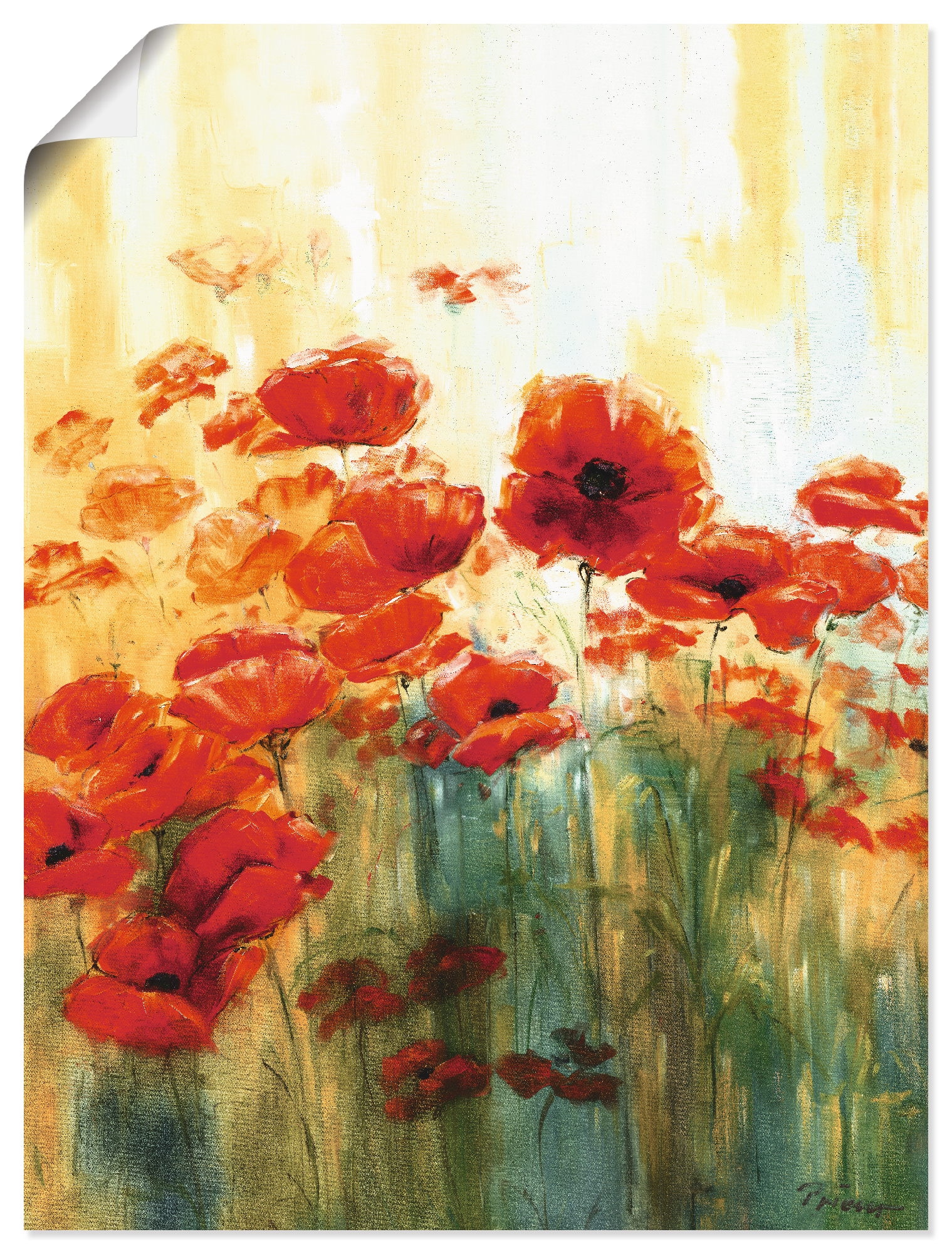 (1 BAUR in bestellen als Poster Wandaufkleber Blumen, oder »Mohnwiese«, Artland Alubild, Wandbild versch. Leinwandbild, Größen St.), |