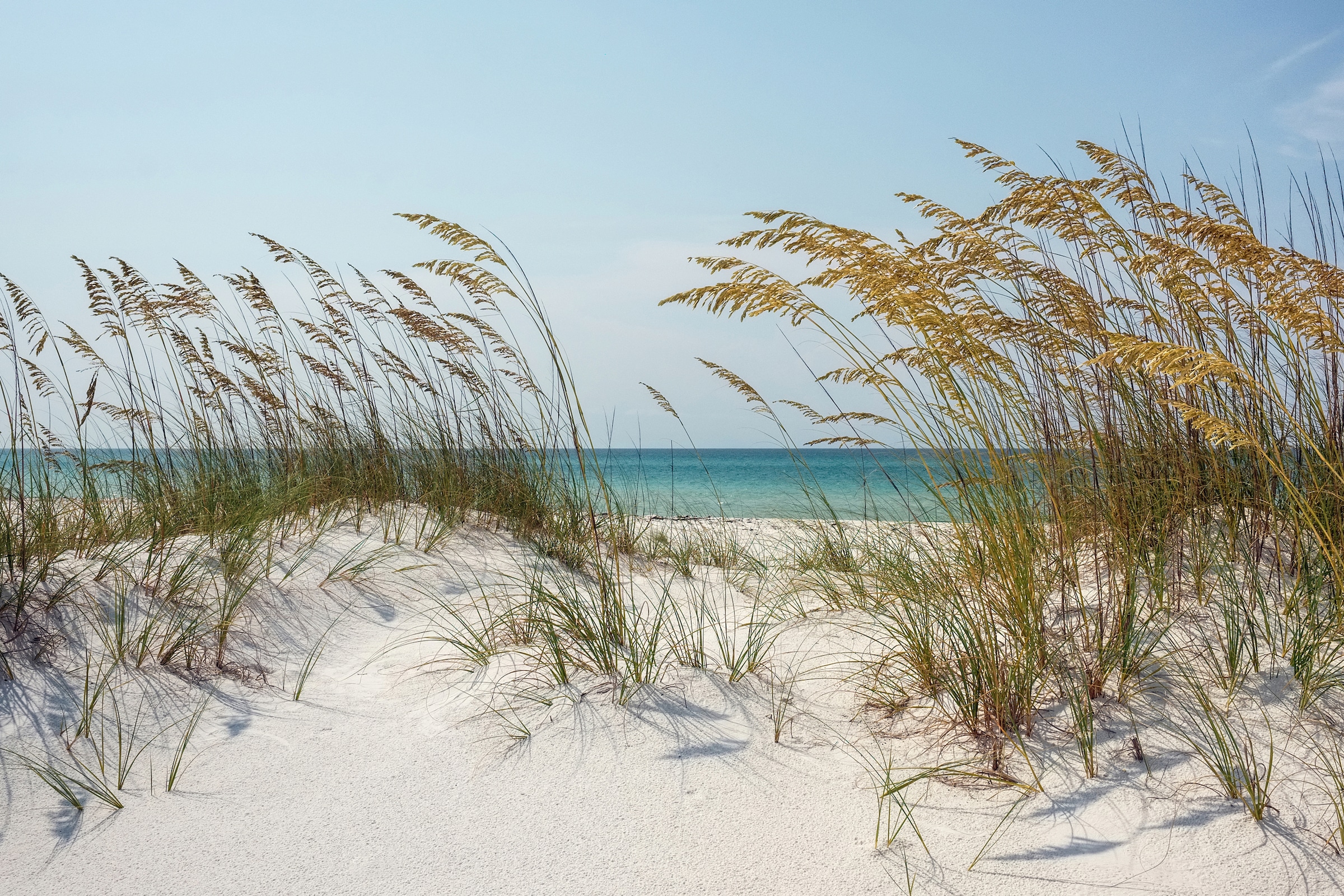 Papermoon Fototapete "DÜNEN-MEER SEE KÜSTE NORDSEE OSTSEE STRAND SYLT BAUM" günstig online kaufen