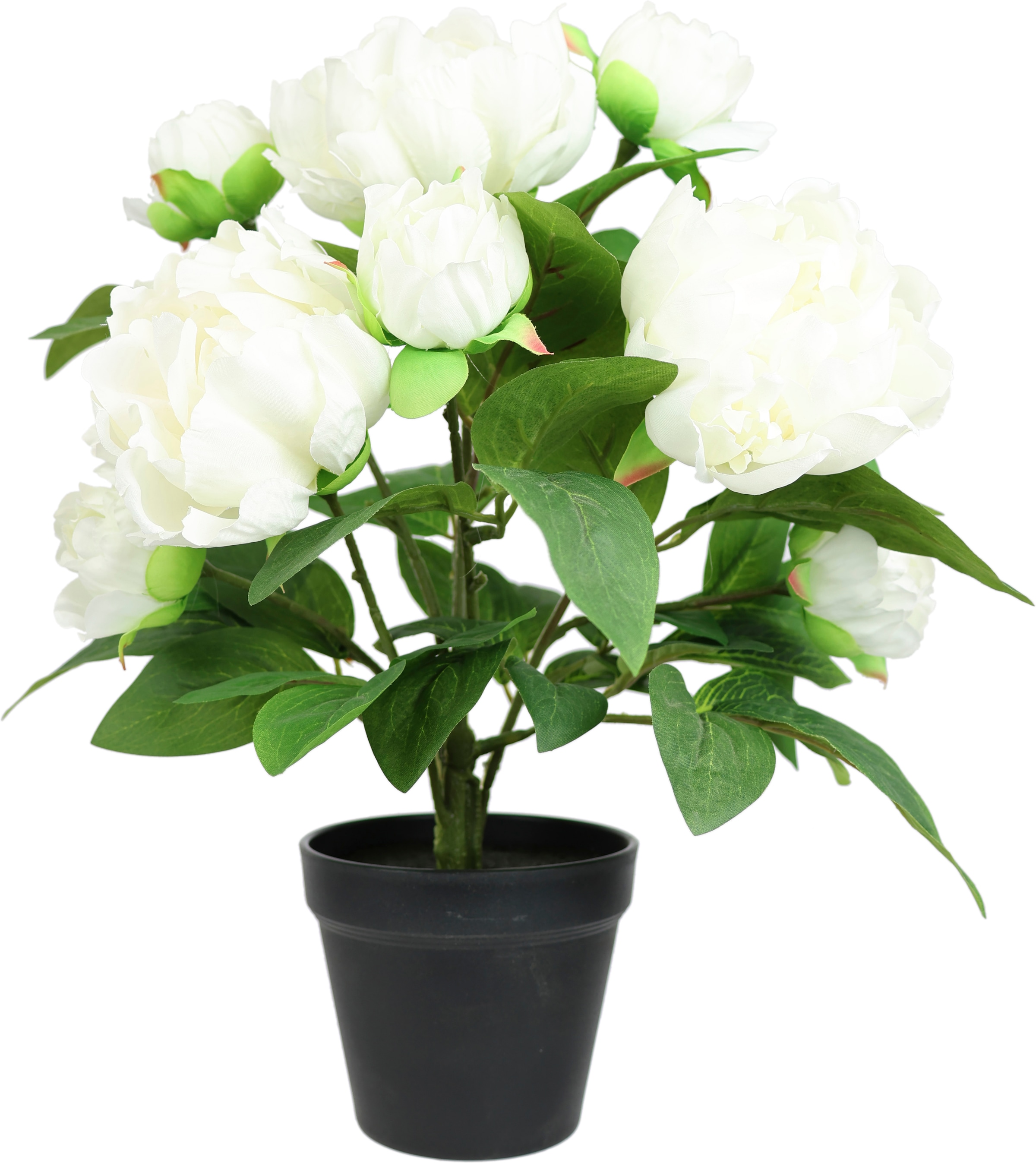 I.GE.A. Kunstpflanze "Künstlicher Päonienbusch im Topf" 40cm Pfingstrose Päonie Dekoblumen Kunstblume Deko Hochzeit
