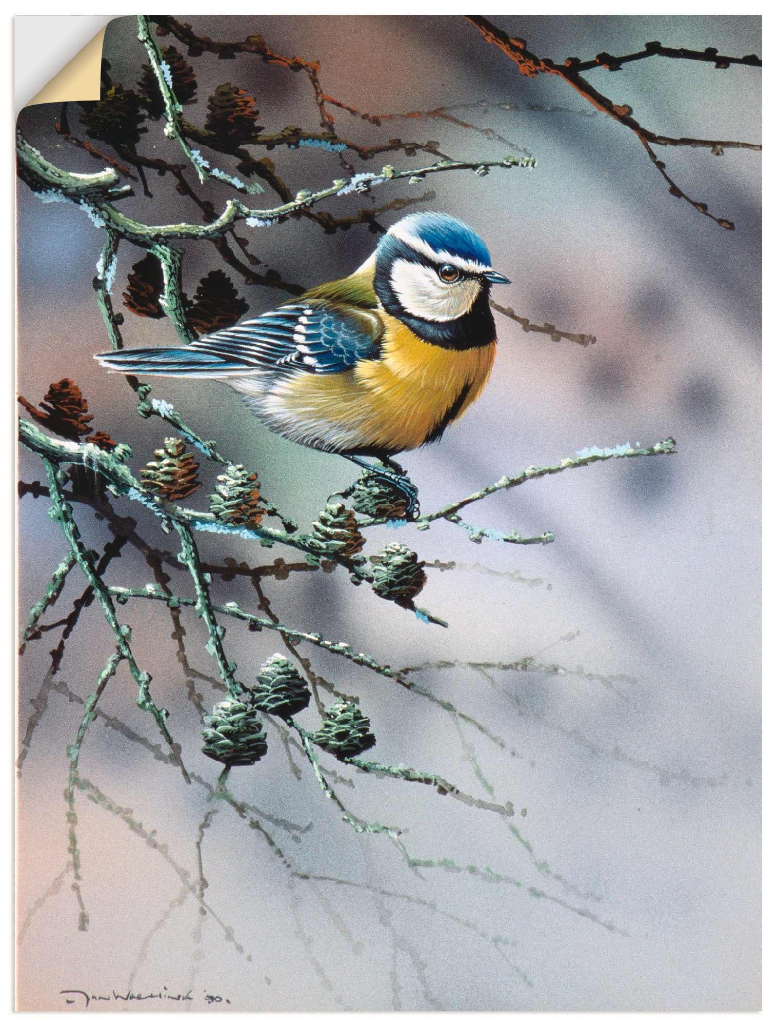 Artland Wandbild »Vogel im Tannenbaum«, Vögel, (1 St.), als