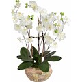 Schneider Kunstpflanze »Orchidee«