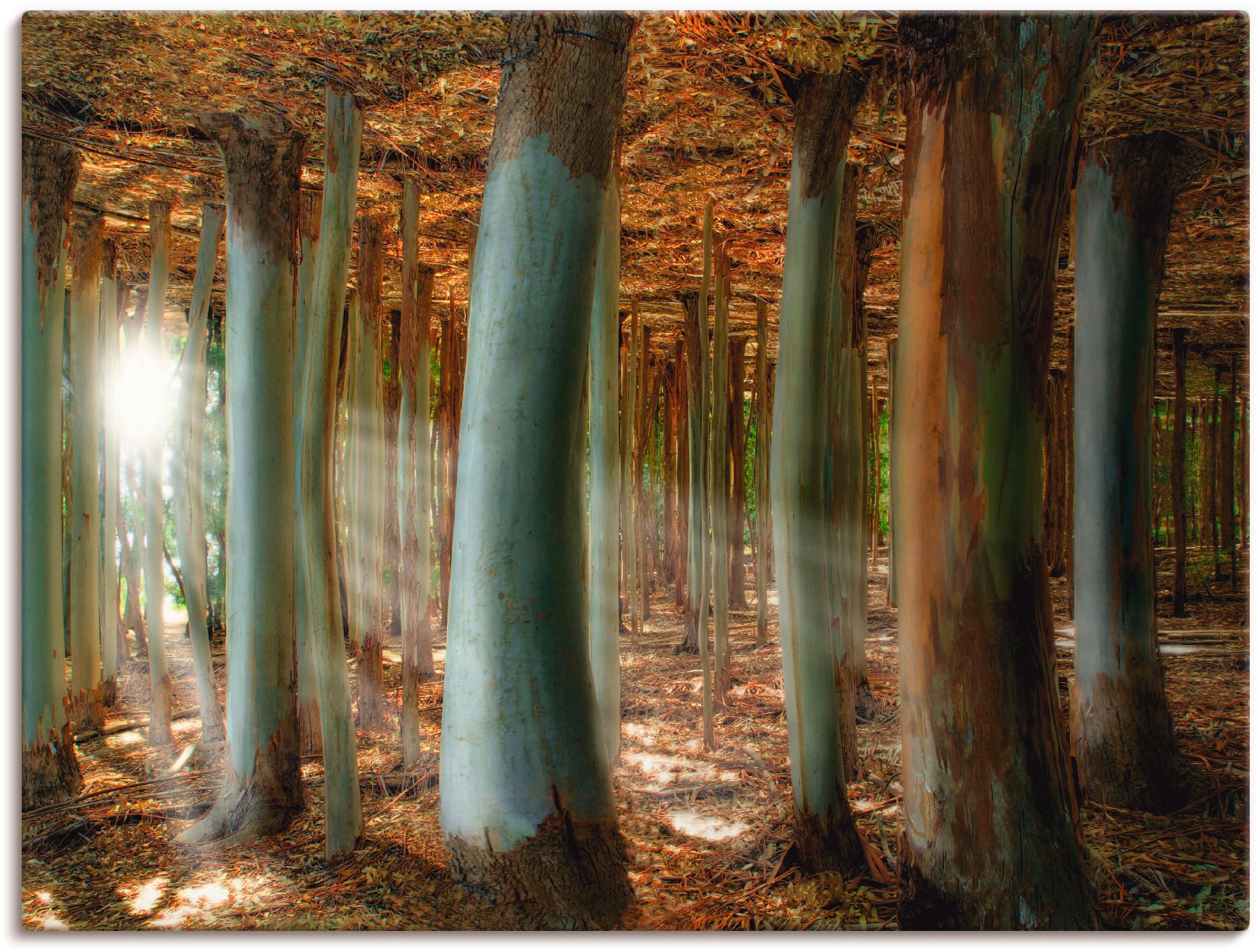 BxT Wandbild Wald oder Preisvergleich (1 für in Alubild, versch. Braun Zauberwald, Ladendirekt Poster Leinwandbild, Artland in der Wandaufkleber | St), cm, als Größen, 40x30 Farbe