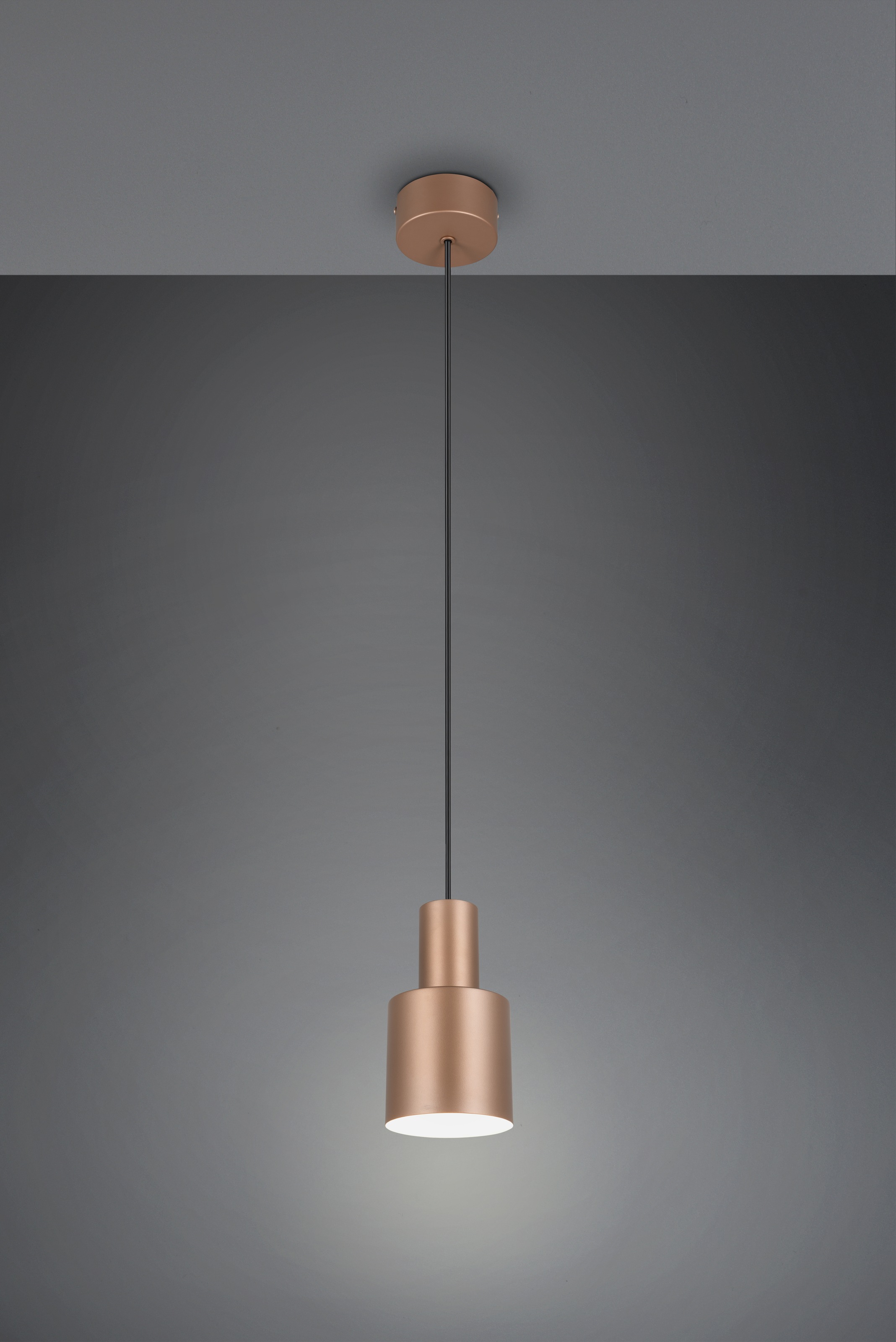 TRIO Leuchten Pendelleuchte »AGUDO, Hängelampe 1-flammig, exkl 1xE27 max 10W, höhenverstellbar«, 1 flammig, Leuchtmittel E27 | Leuchtmittel wechselbar, Hängelampe Ø 12cm, bis max 150cm Abhängung, Küche Esszimmer Wohnzimmer