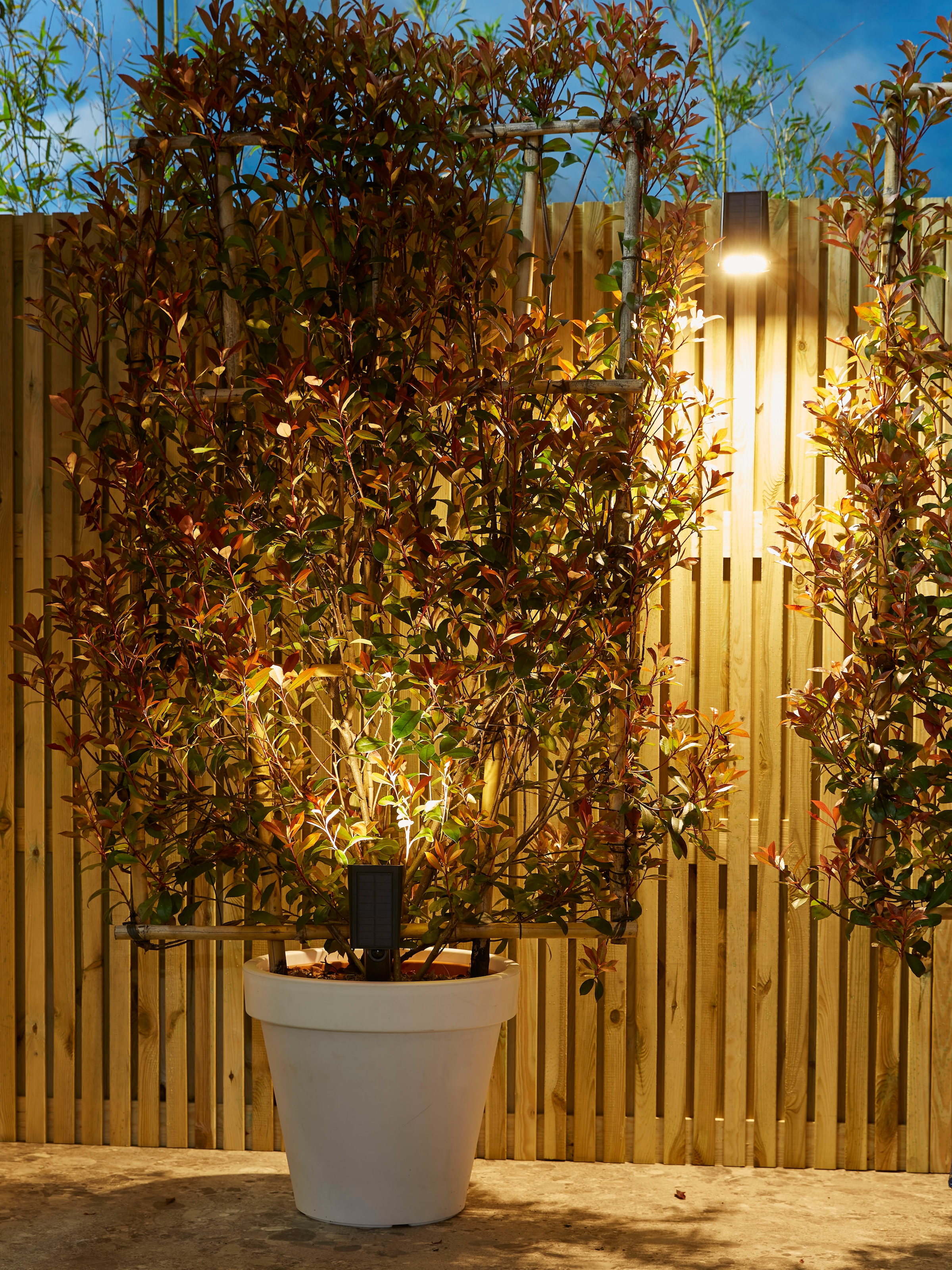 Thumbnail - LUXFORM Gartenstrahler "Solar-Intelligente - Erdspießleuchte - Rosario LED" LED-Modul 1 Stk. Für den Außenbereich geeign...