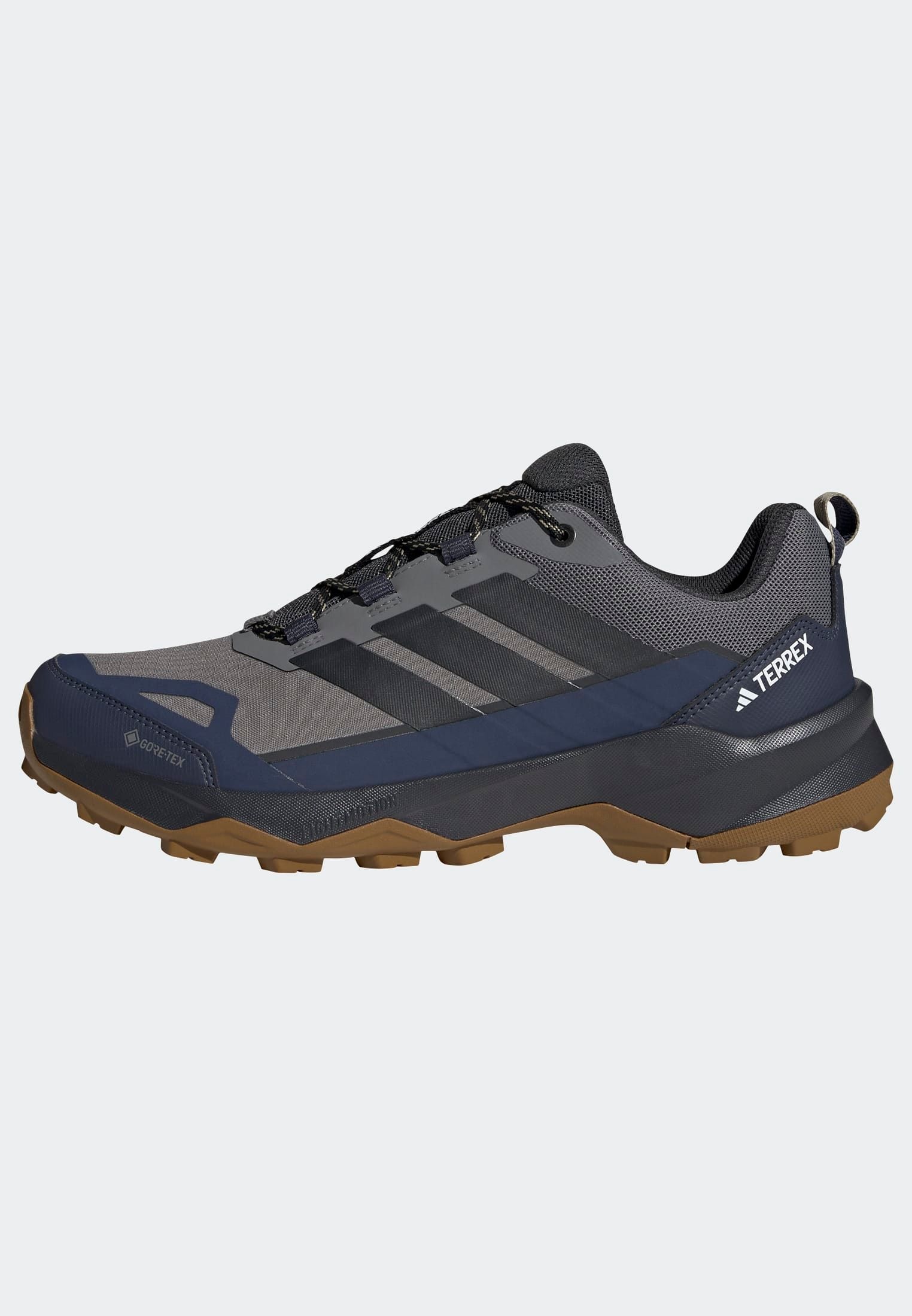 adidas TERREX Wanderschuh »TERREX SKYCHASER AX5 GORE-TEX E«, wasserdicht