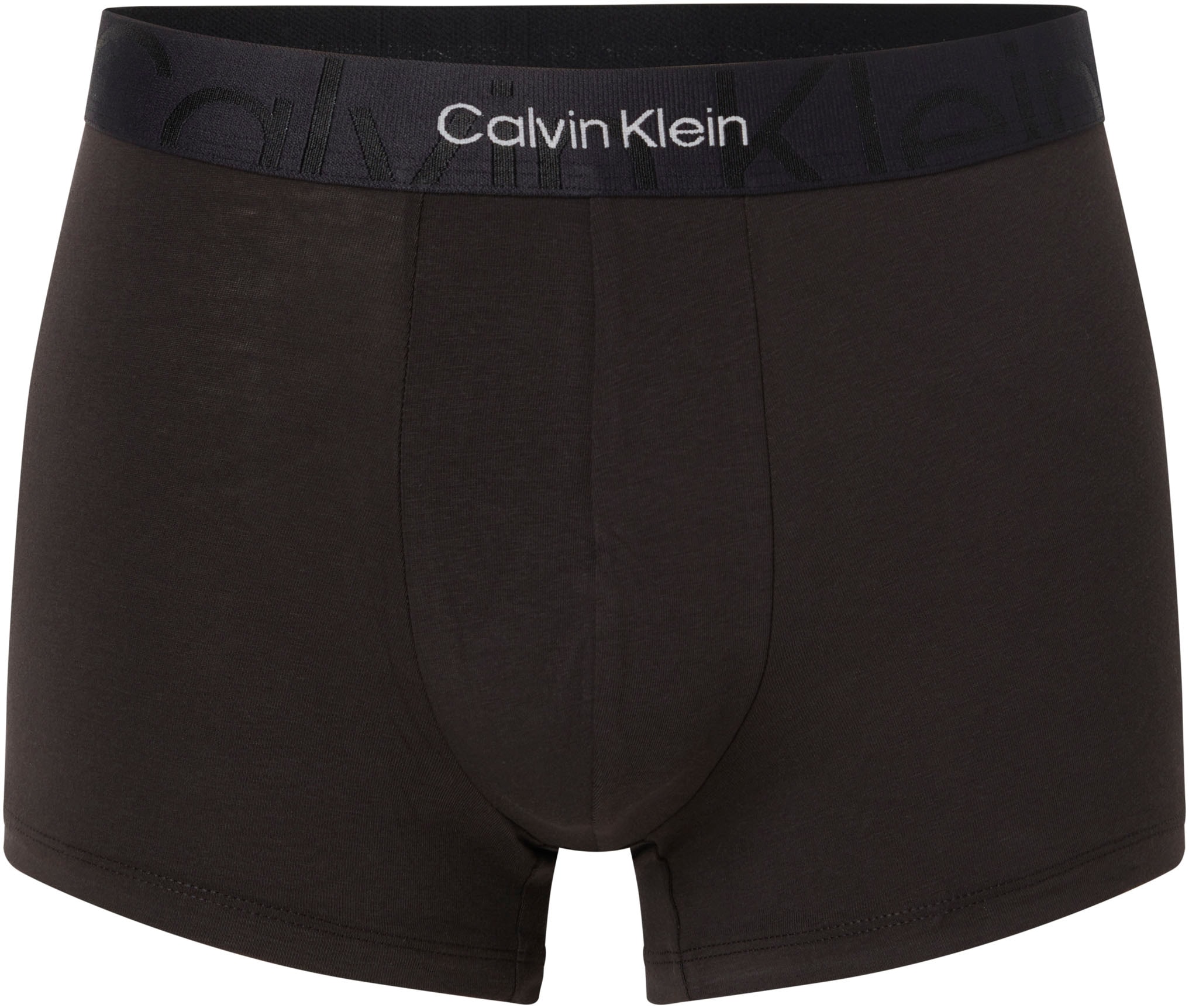 Calvin Klein Underwear Trunk, mit Logoschriftzug am Wäschebund