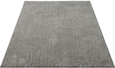 my home Hochflor-Teppich »Andor«, rechteckig, 25 mm Höhe, weiche Haptik, besonders... kaufen