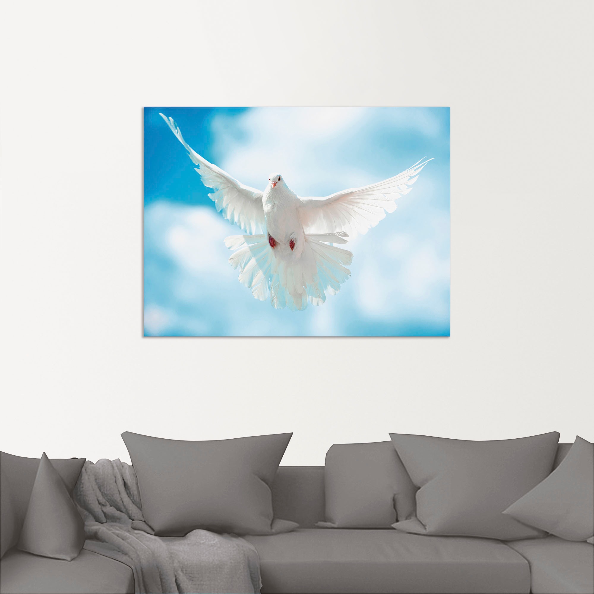 Artland Wandbild "Taube mit ausgebreiteten Flügeln" Vögel 1 Stk. tlg. als A günstig online kaufen