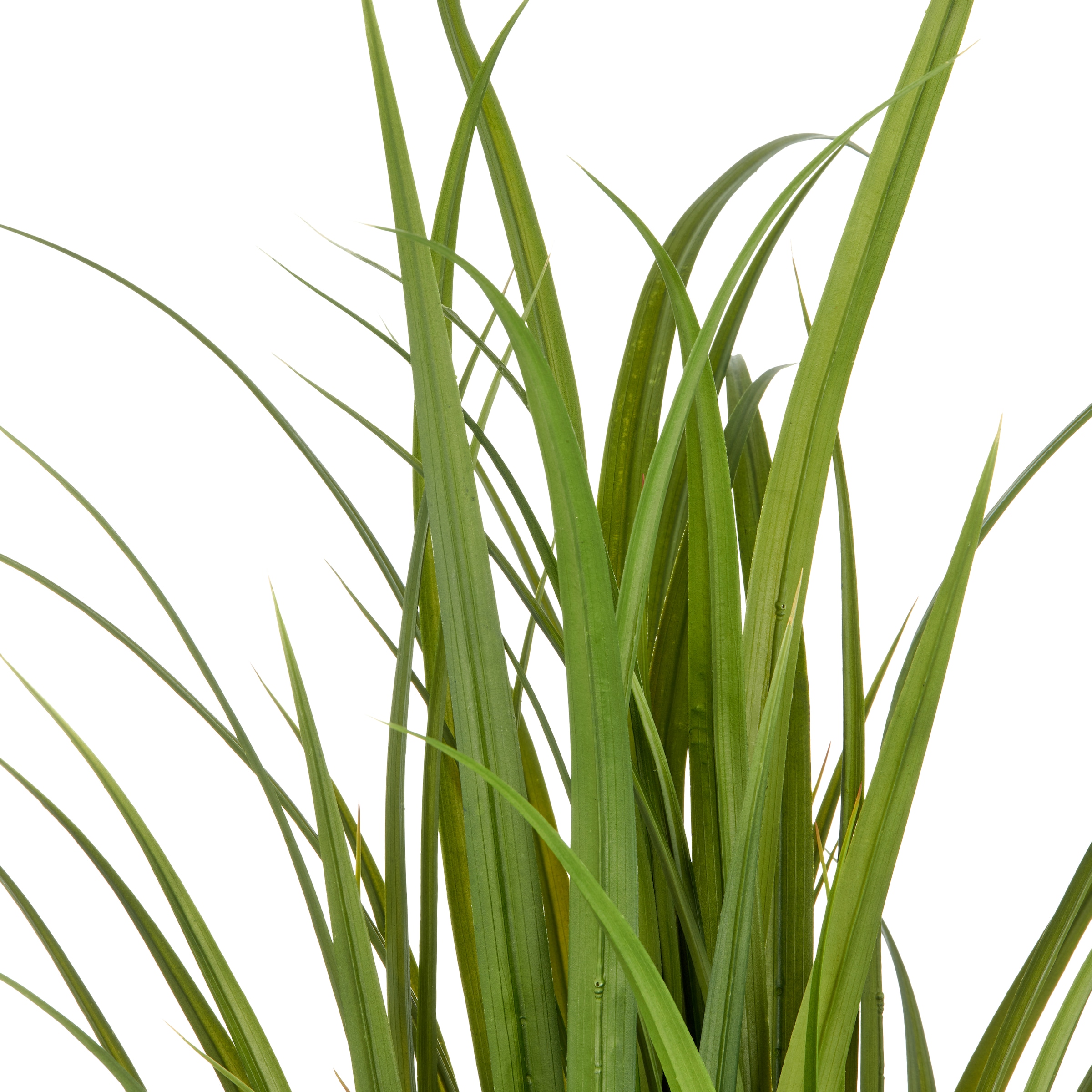 Creativ green Kunstgras »Grasbusch Miscanthus«, im eleganten Topf