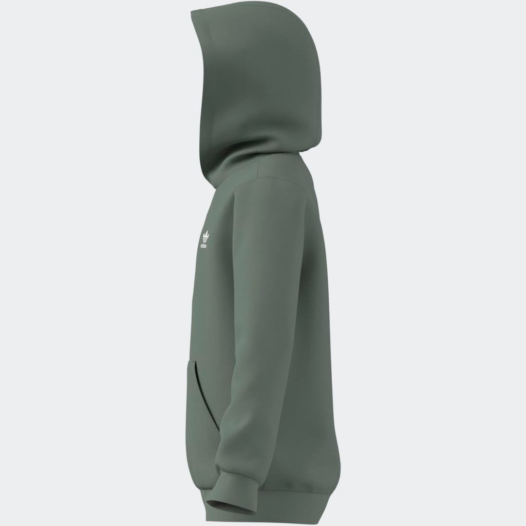 adidas Originals Kapuzensweatshirt »HOODIE«