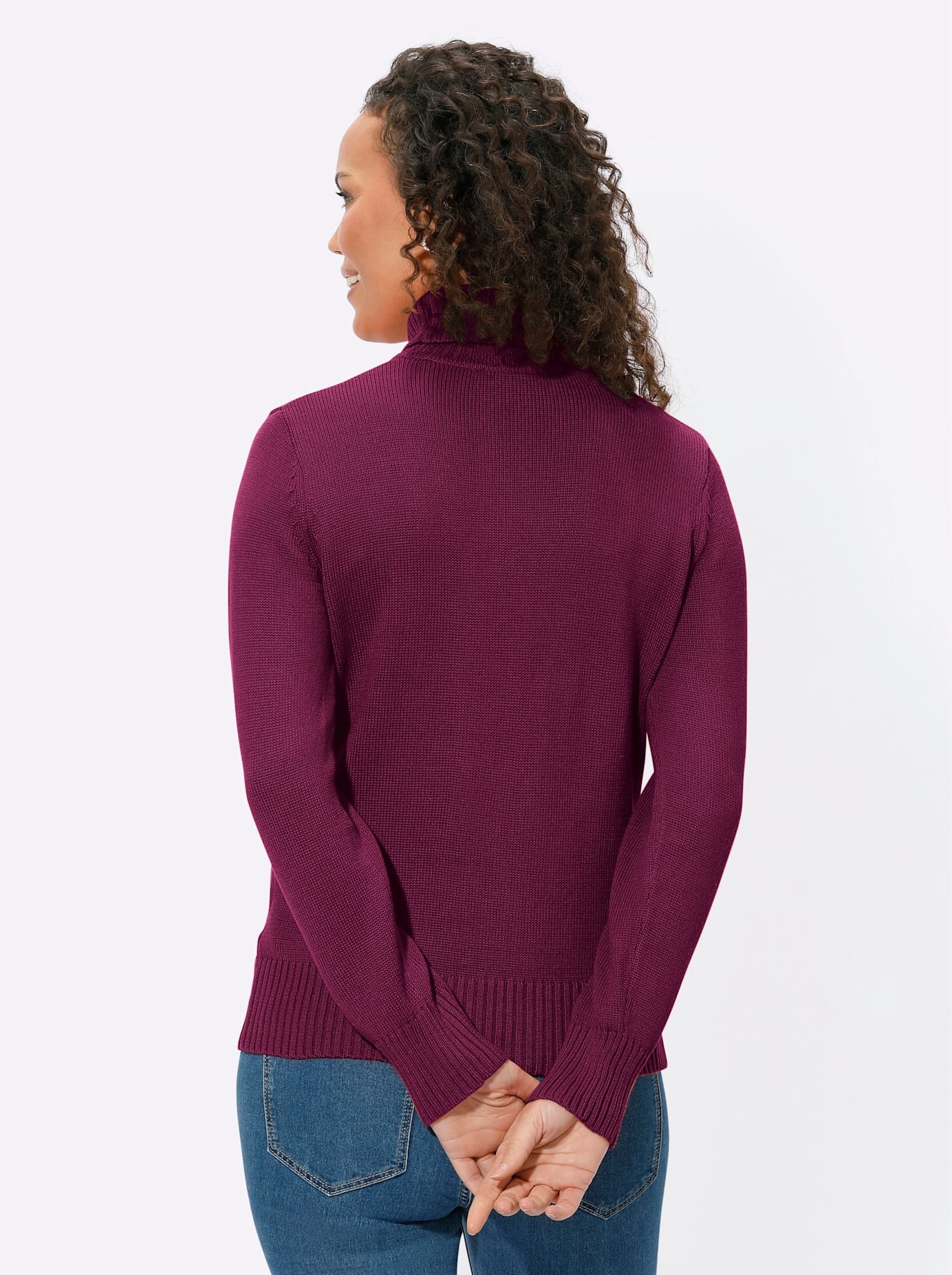 Casual Looks Rollkragenpullover »Pullover«