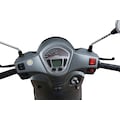 Alpha Motors Motorroller »Vita«, 50 cm³, 45 km/h, Euro 5, 2,99 PS