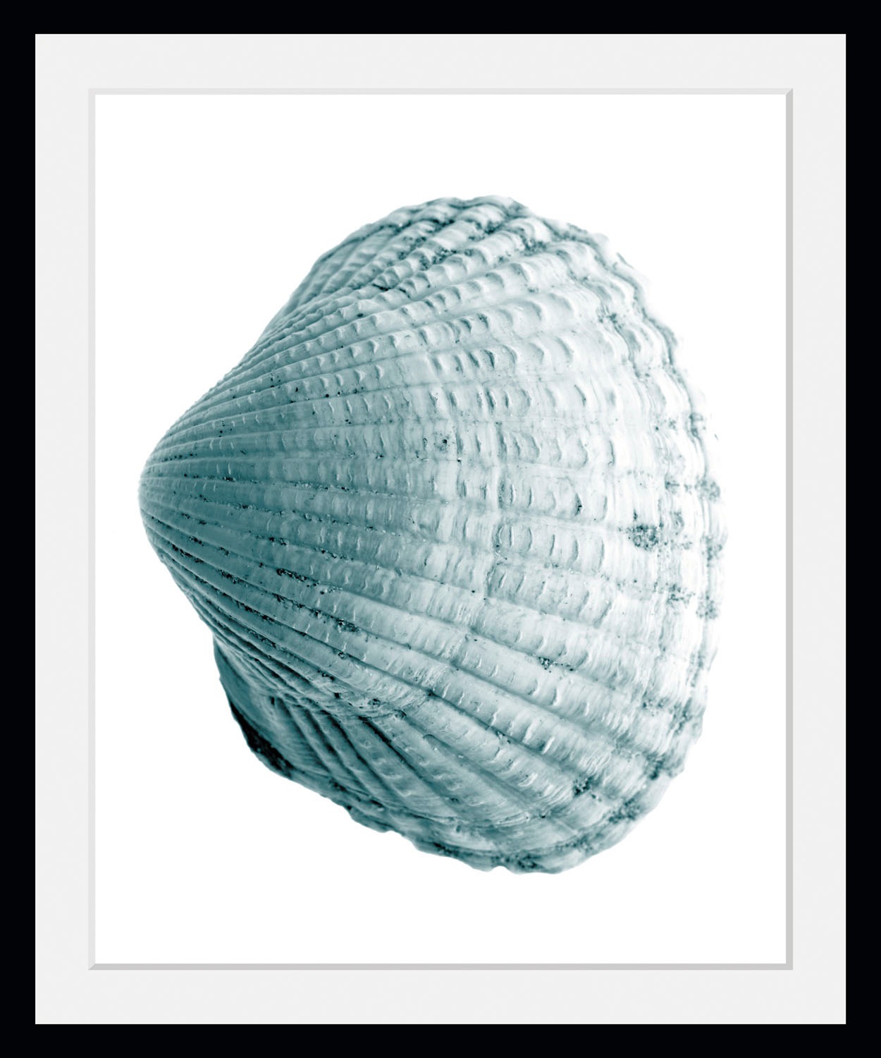 queence Bild »Leon«, Meer-Wassertiere-Kunst, (1 St.), HD Premium Poster-Druck inkl. Holzrahmen