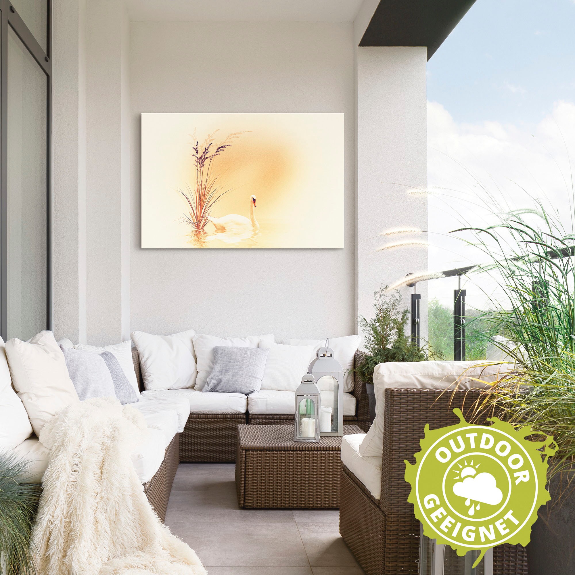 Artland Wandbild »Weisser Schwan«, Vögel, (1 St.), als Alubild, Outdoorbild, Leinwandbild in verschied. Größen