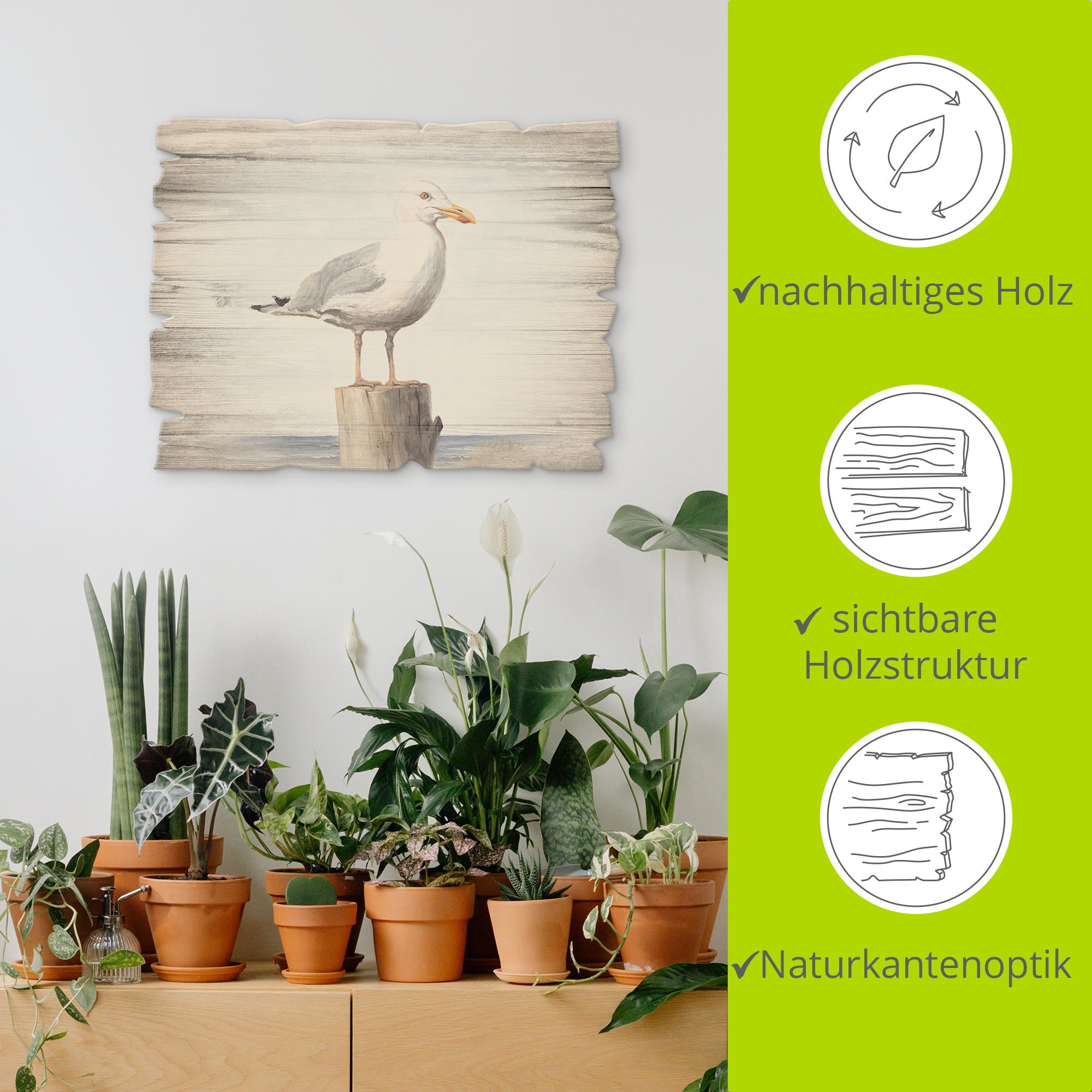 Artland Holzbild »Möwe«, Vögel, (1 St.)