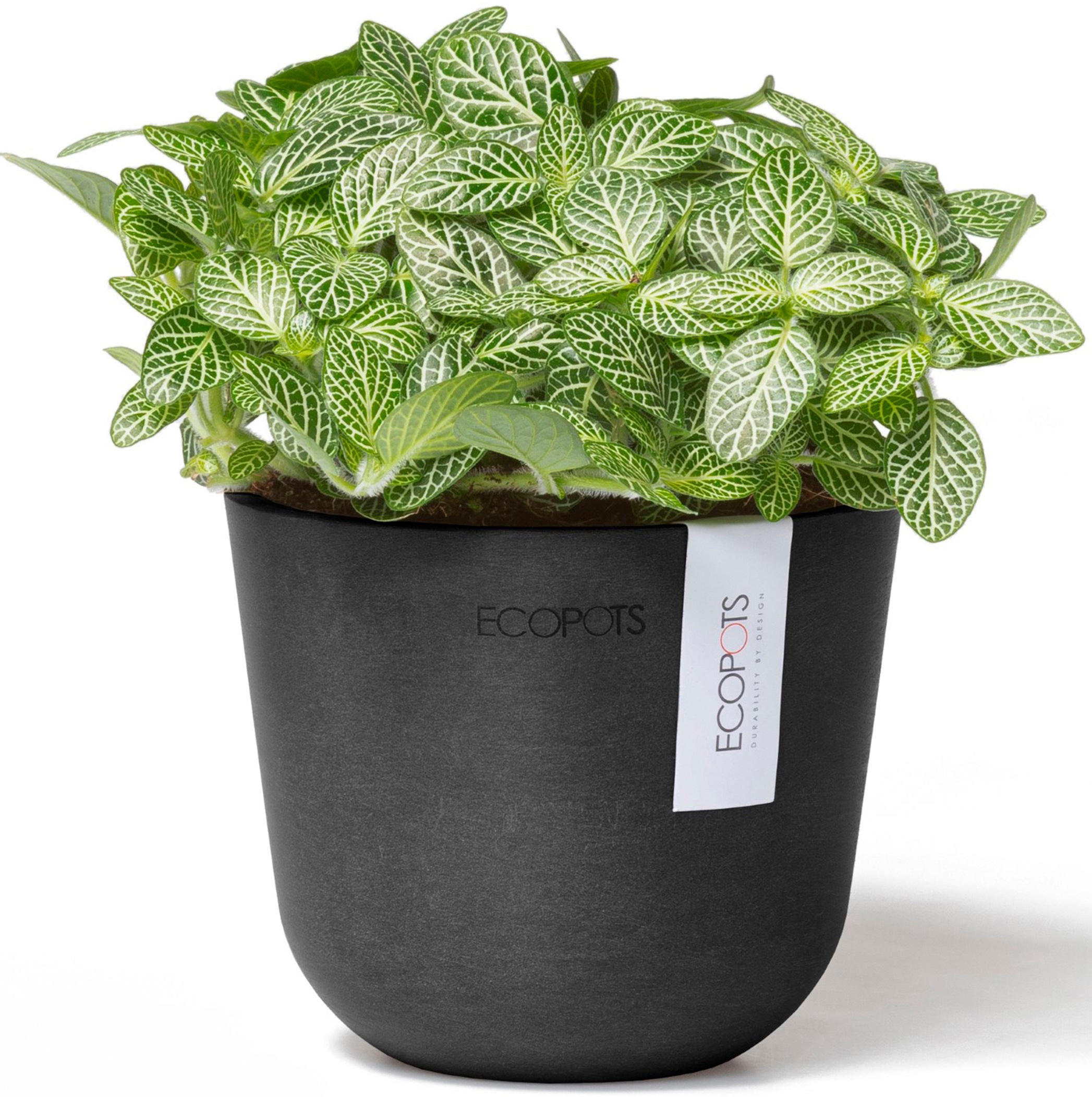 ECOPOTS Blumentopf »Oslo Mini 11,5 Dunkelgrau«, für den Innenbereich
