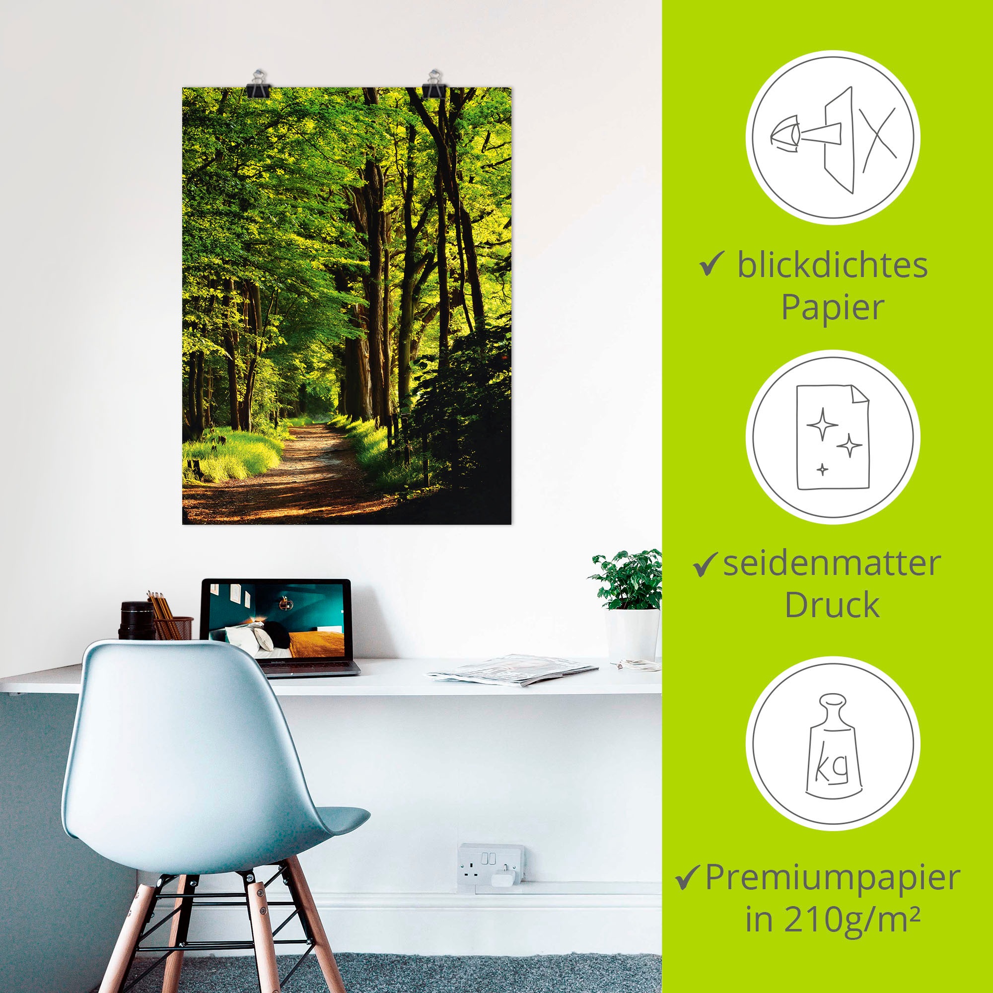 Artland Wandbild »Weg im Wald«, Wald, (1 St.), als Alubild, Outdoorbild, Leinwandbild, Poster in verschied. Größen