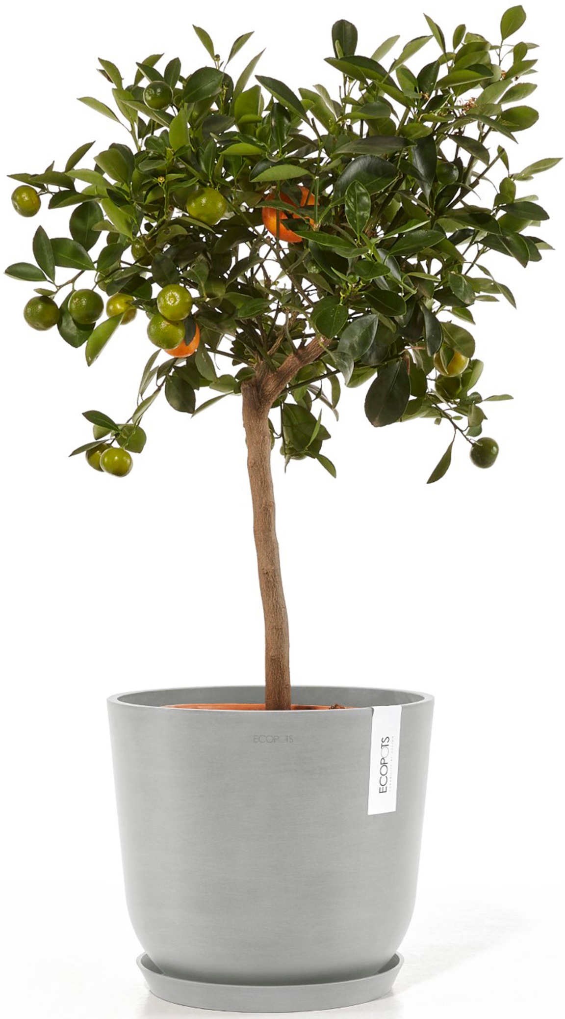 ECOPOTS Blumentopf »Oslo 25 + Wassersystem Weißgrau«, für innen und außen: frostsicher, bruchsicher und lichtbeständig