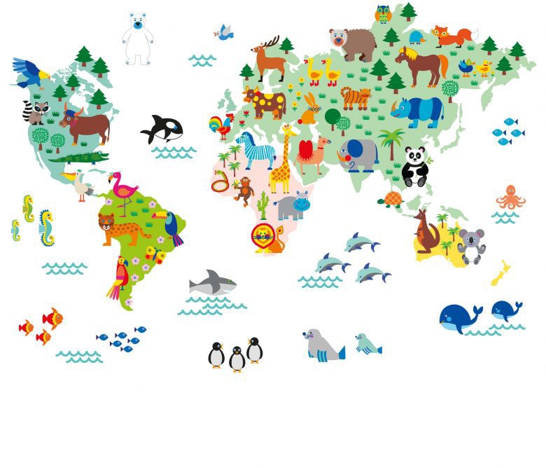 Wandtattoo »Kinder Tierwelt Weltkarte bunt«, (1 St.), selbstklebend, entfernbar
