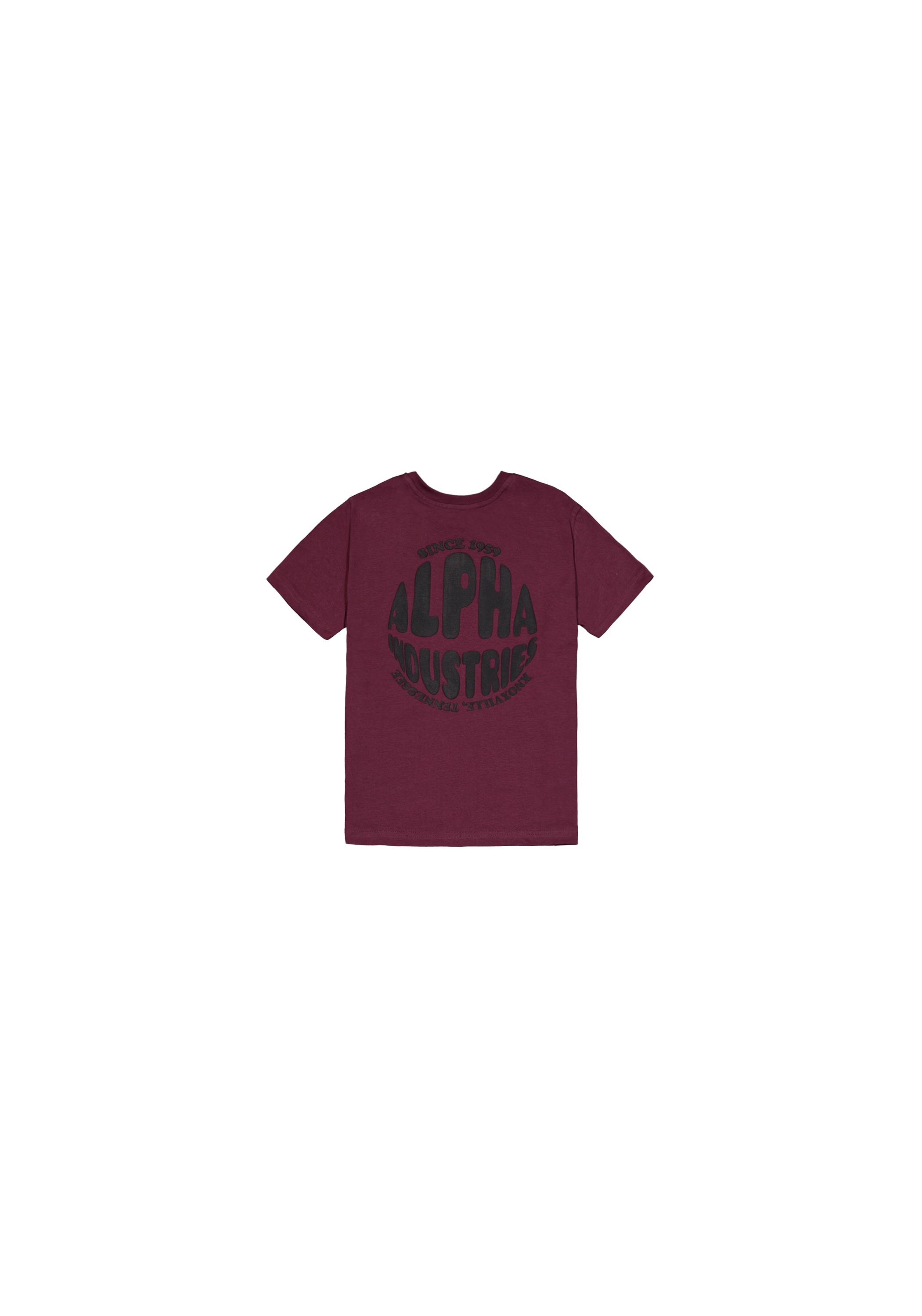 Alpha Industries T-Shirt »Logo Backprint T-Shirt K T-Shirt«